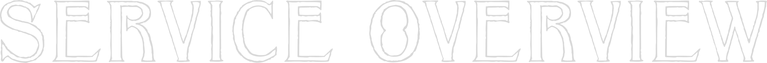 The image displays the words 'SERVICE OVERVIEW' in large, outlined, stylized letters.