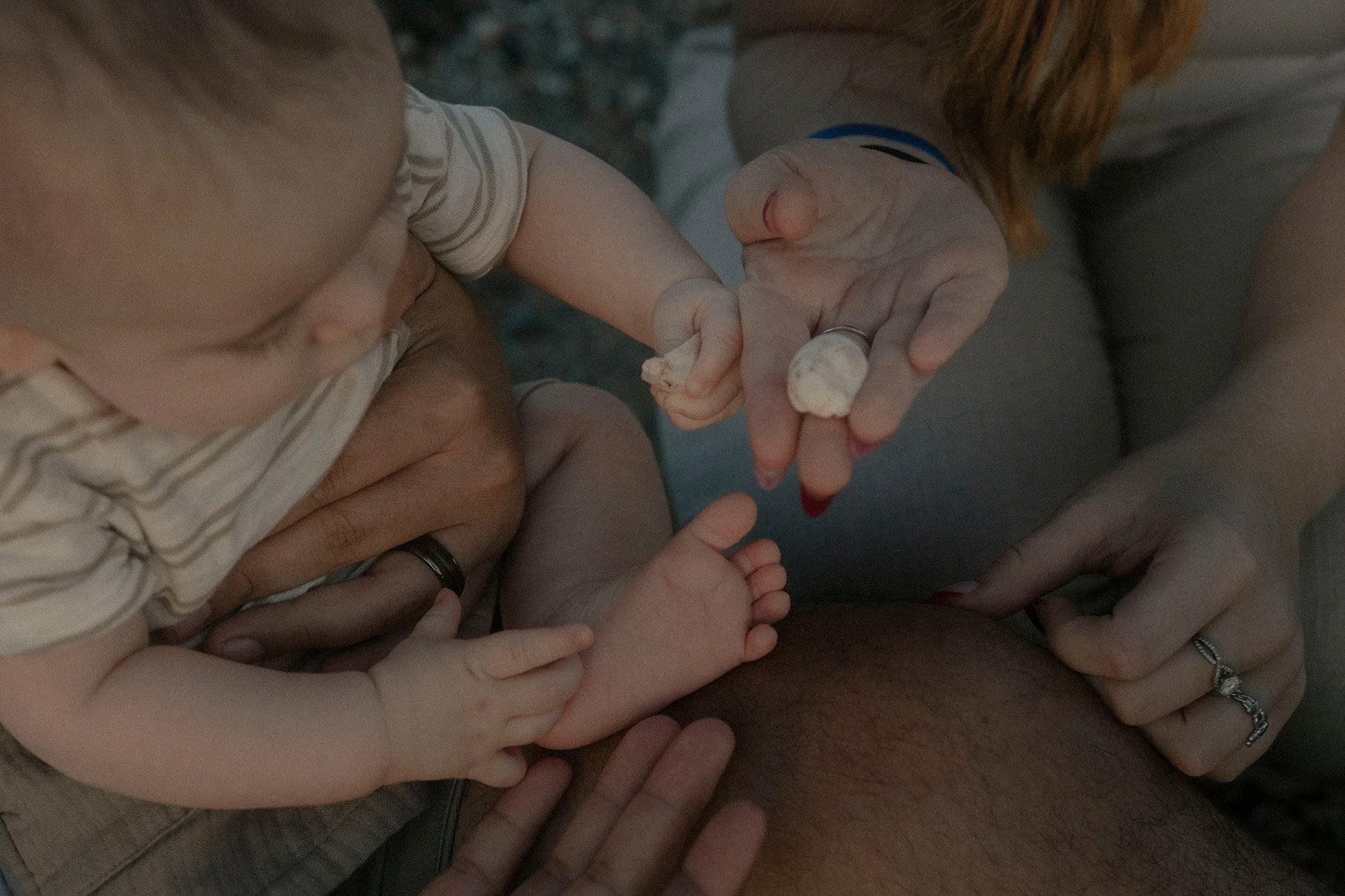 A close-up of a child and an adult holding hands, with the child's small feet visible and the adult's hand offering a seashell.