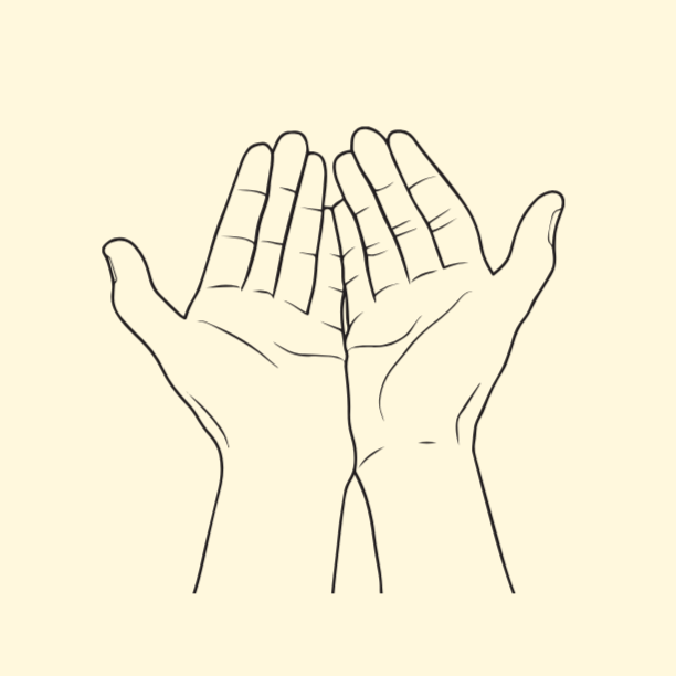 Line drawing of two hands with palms facing up, close together.