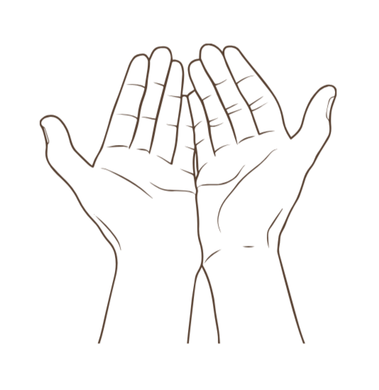 Outline drawing of two open hands facing each other, palms up.