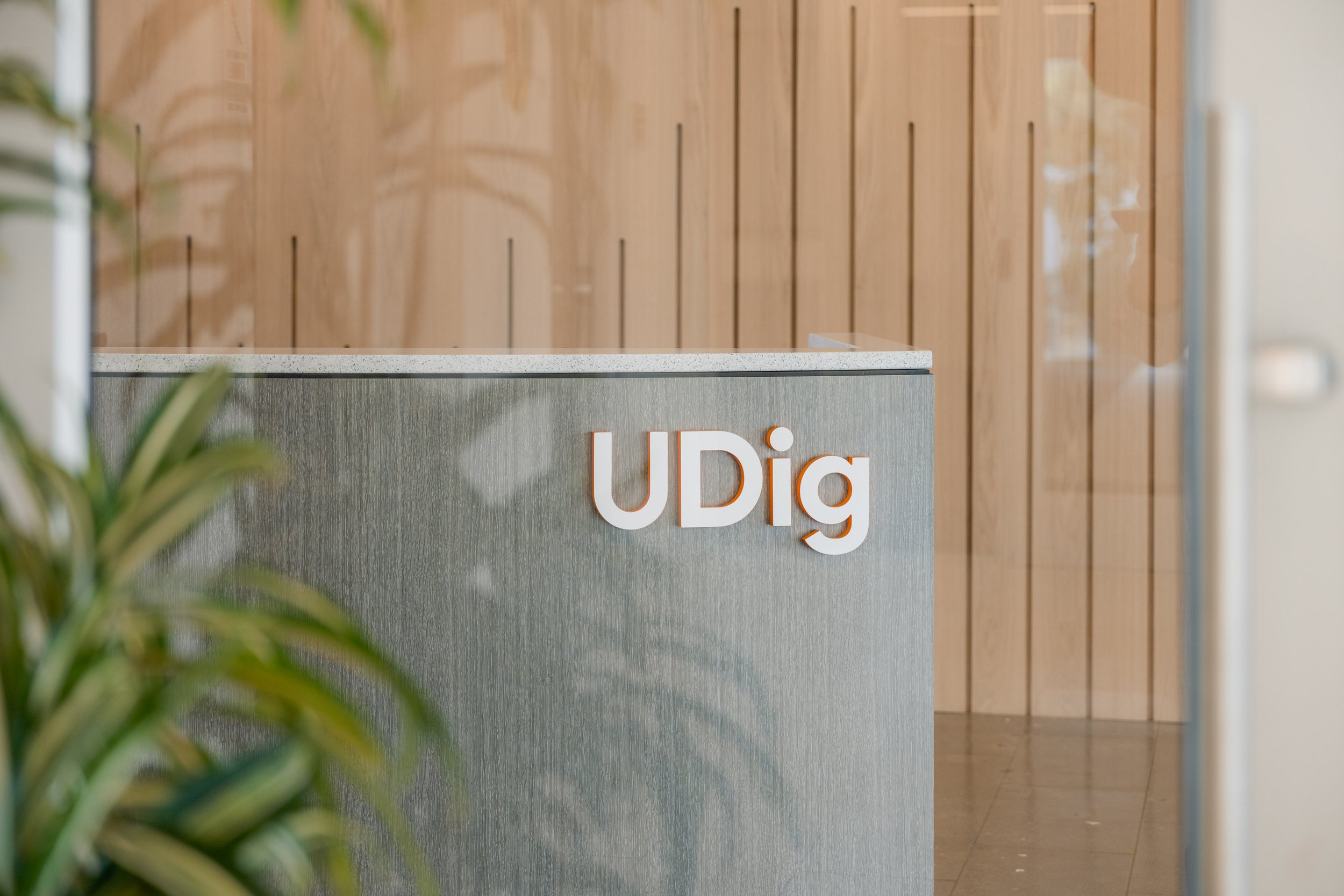 Smith_UDig_41.jpg