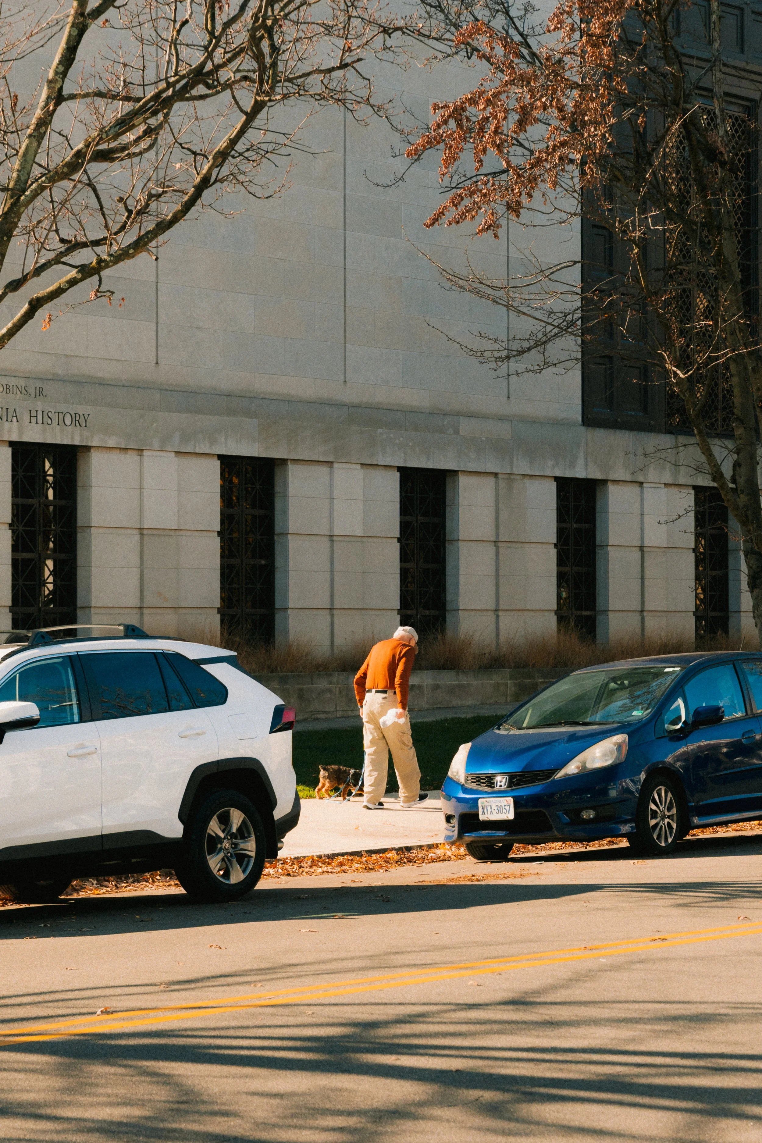 A person walking a dog on a sidewalk in front of a large building with trees and parked cars along the street.