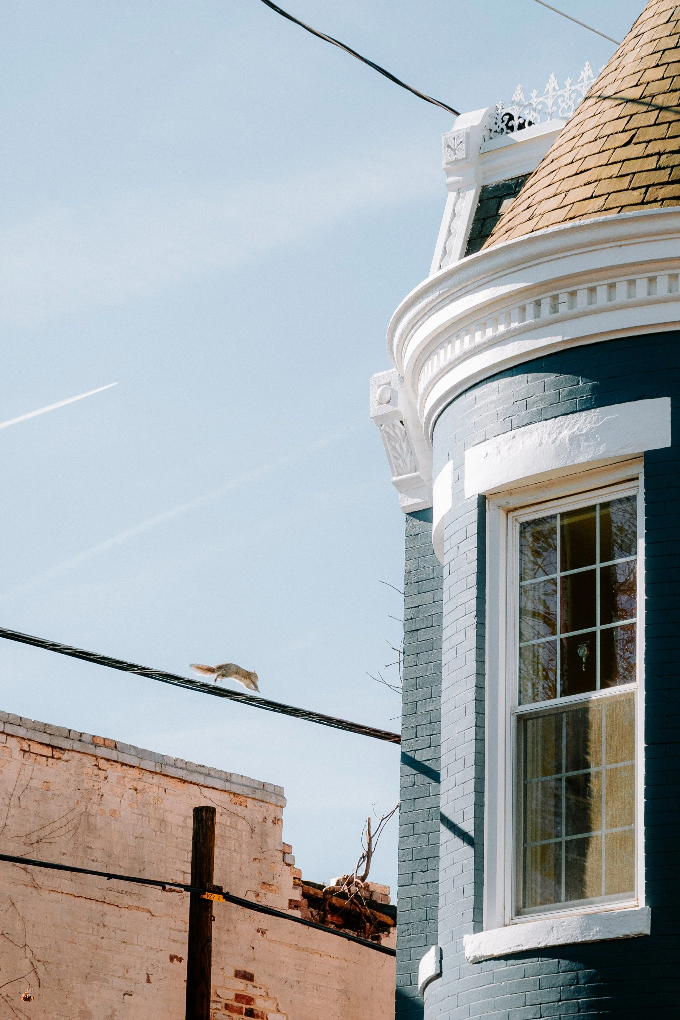 A house with a blue brick exterior, white decorative trim, and a curved bay window. A squirrel is seen crossing a power line against a clear blue sky.