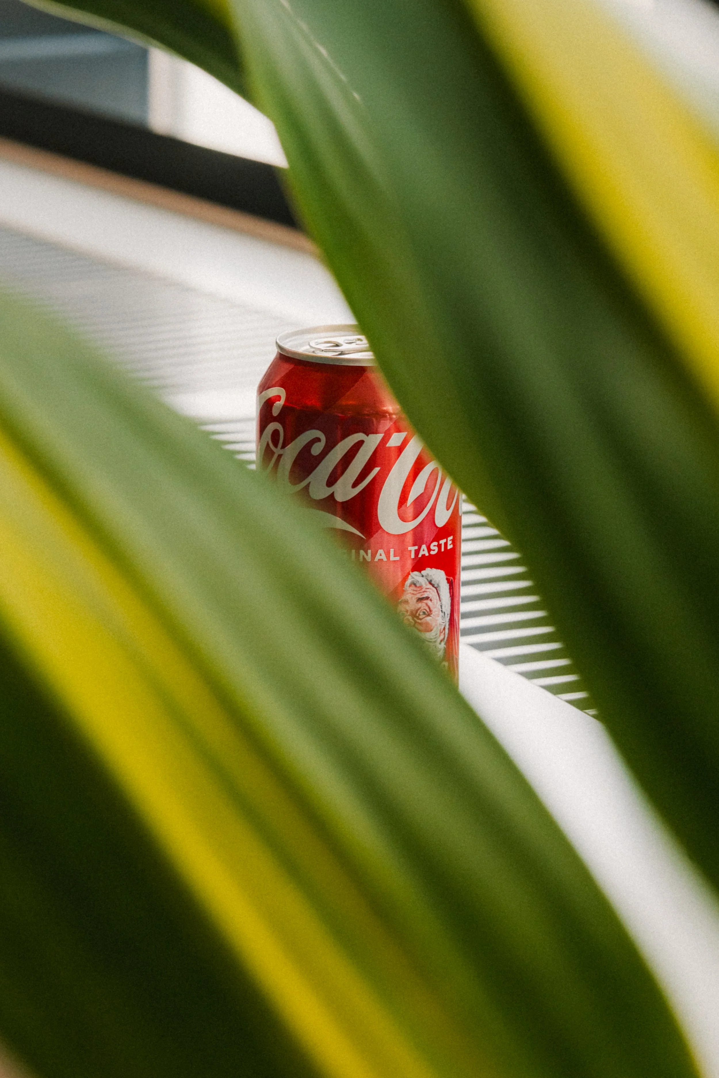 A can of Coca-Cola behind large green leaves with yellow edges.