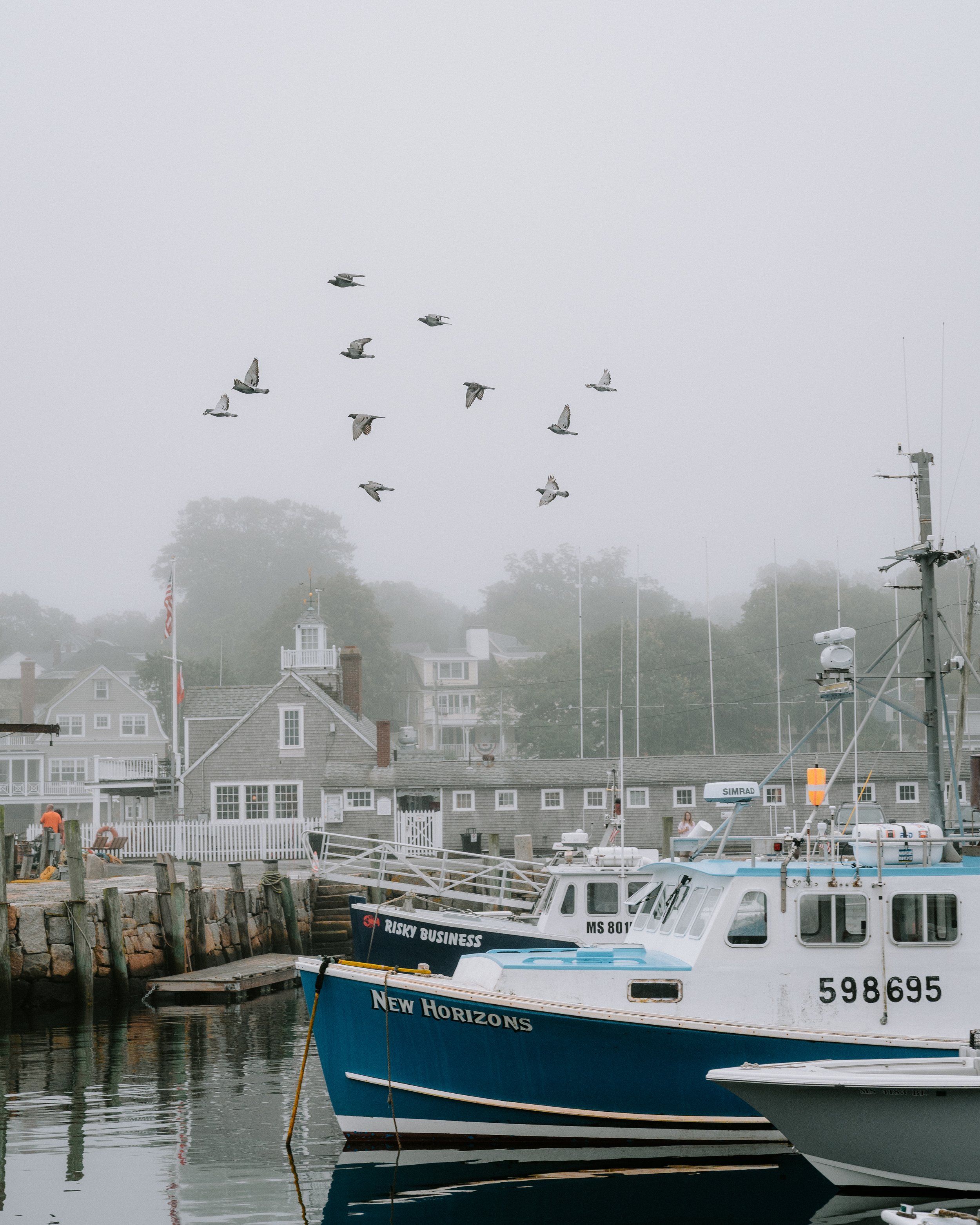 Boats docked at a harbor with flock of birds flying overhead, foggy weather, and houses in the background.