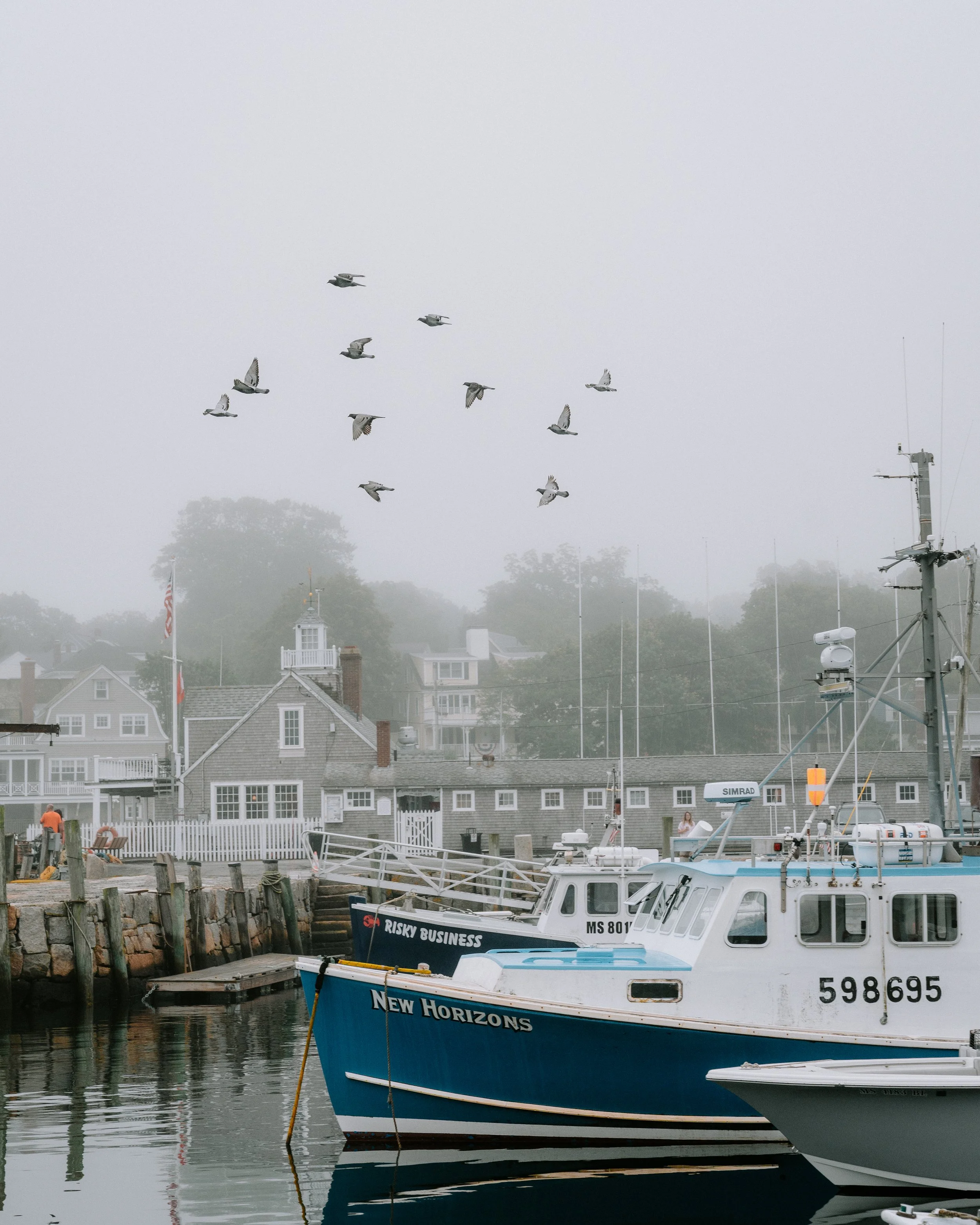Boats docked at a foggy marina with seagulls flying overhead and houses in the background.