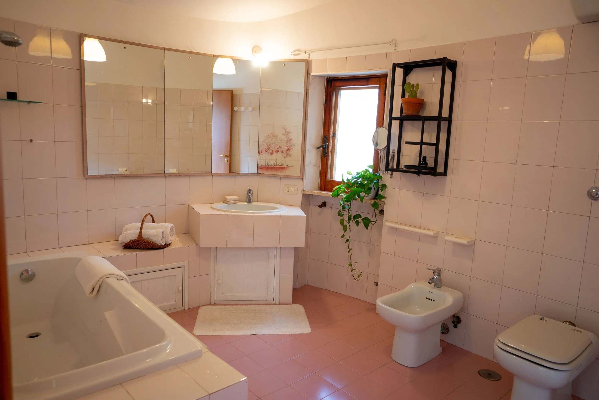 Badezimmer mit Badewanne, Waschbecken, Bidet, Toilette, Spiegel, Fenster, schwarze Wandregale, Pflanzen, Handtücher.
