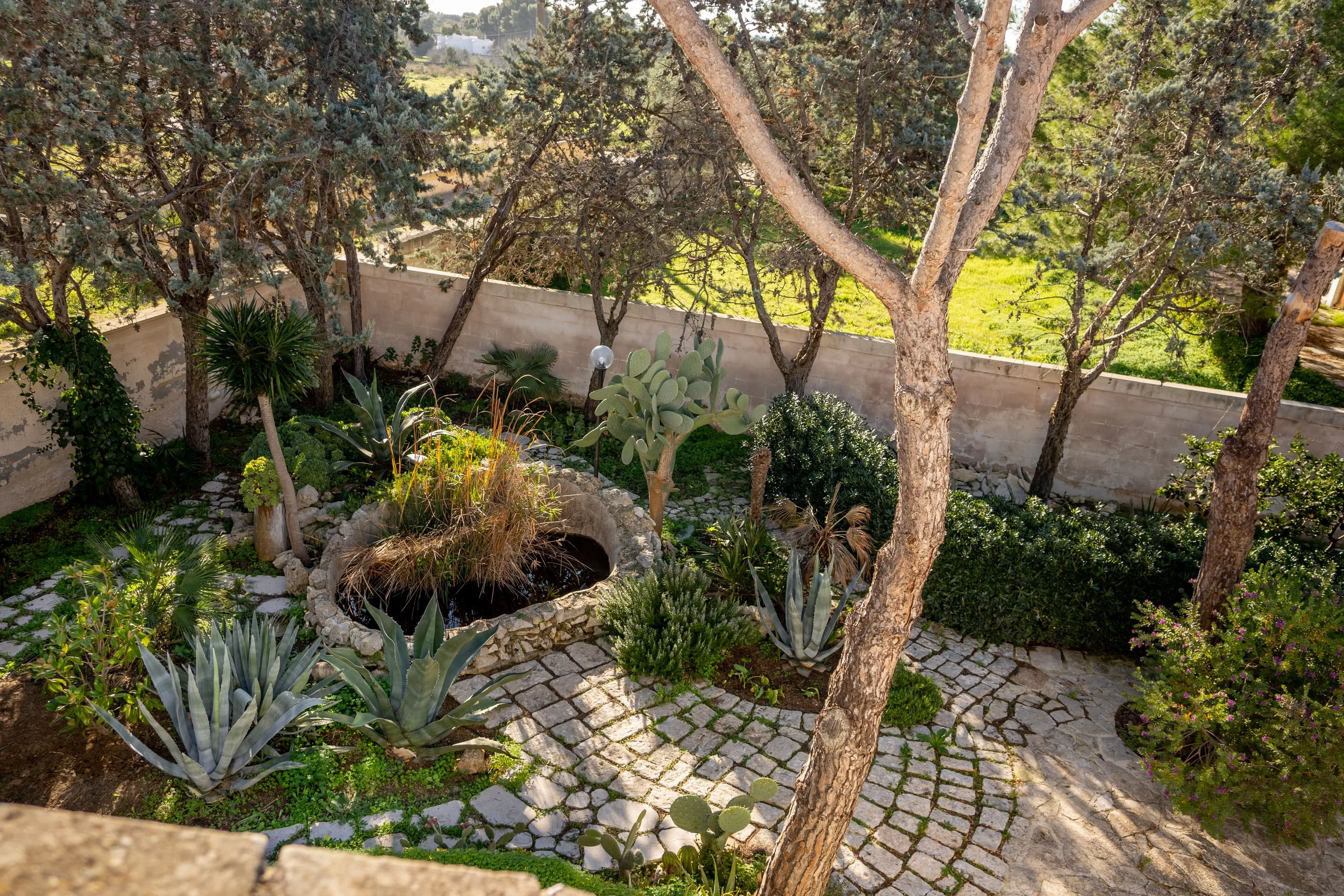 Garten mit Steinpflaster, Kaktus, Bäume und grünen Pflanzen