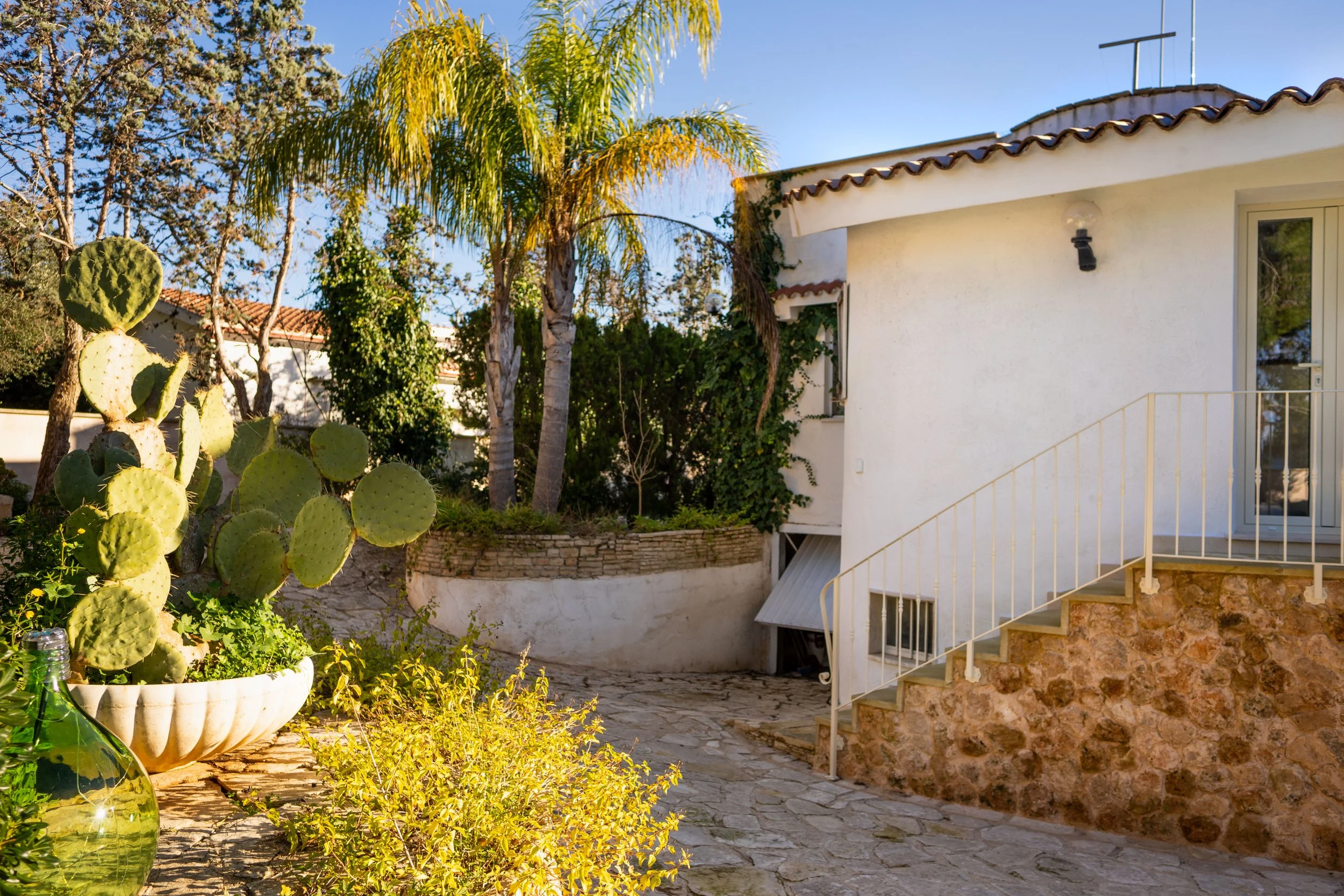 Ein sonniger Garten mit Kakteen, Palmen, bunten Pflanzen und einem weißen Haus mit Treppe.
