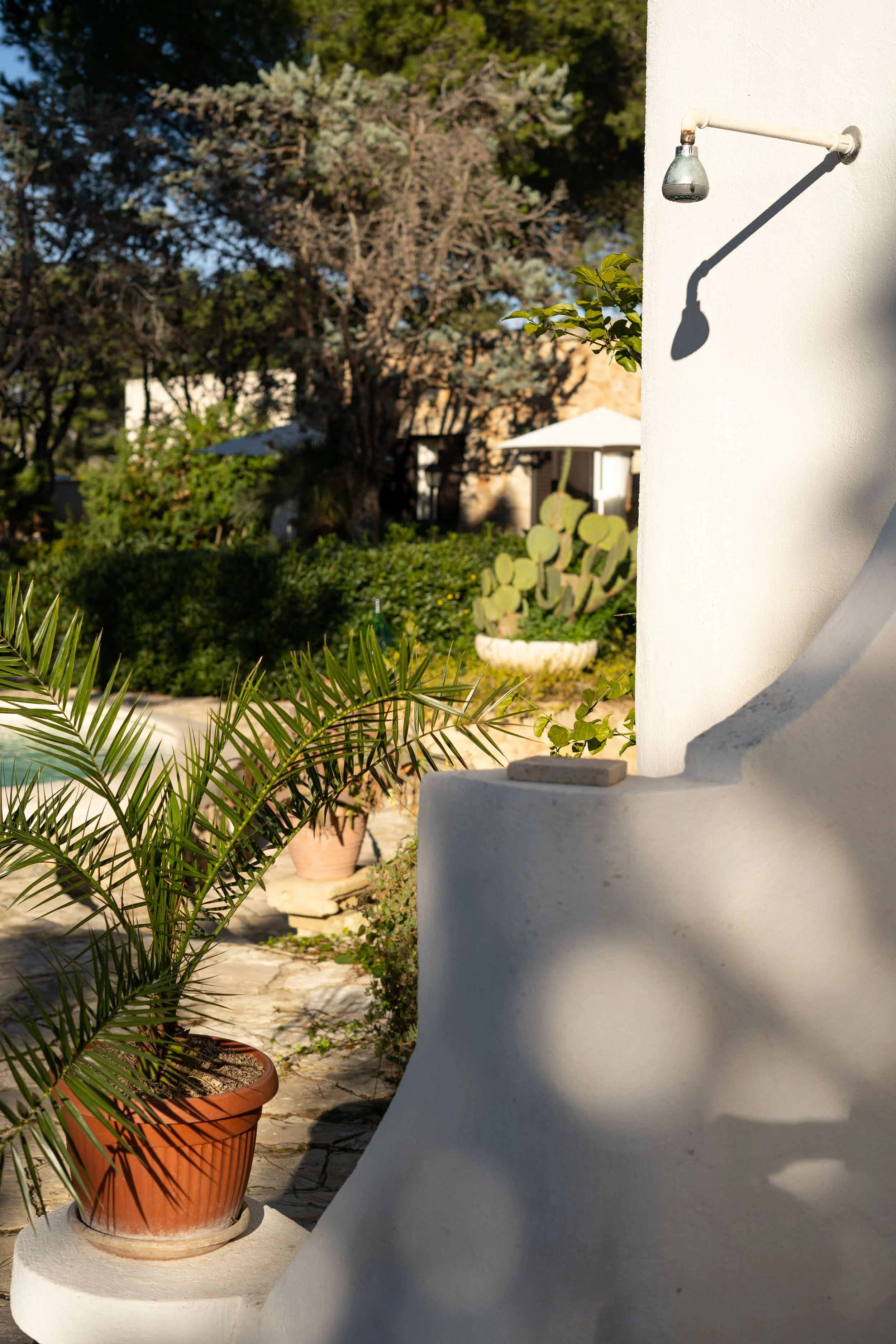 Eine weiße Hauswand mit außenliegendem Duschkopf und Schatten, umgeben von Pflanzen und einem Garten im Sonnenlicht, typischer Blick auf eine mediterrane Terrasse.