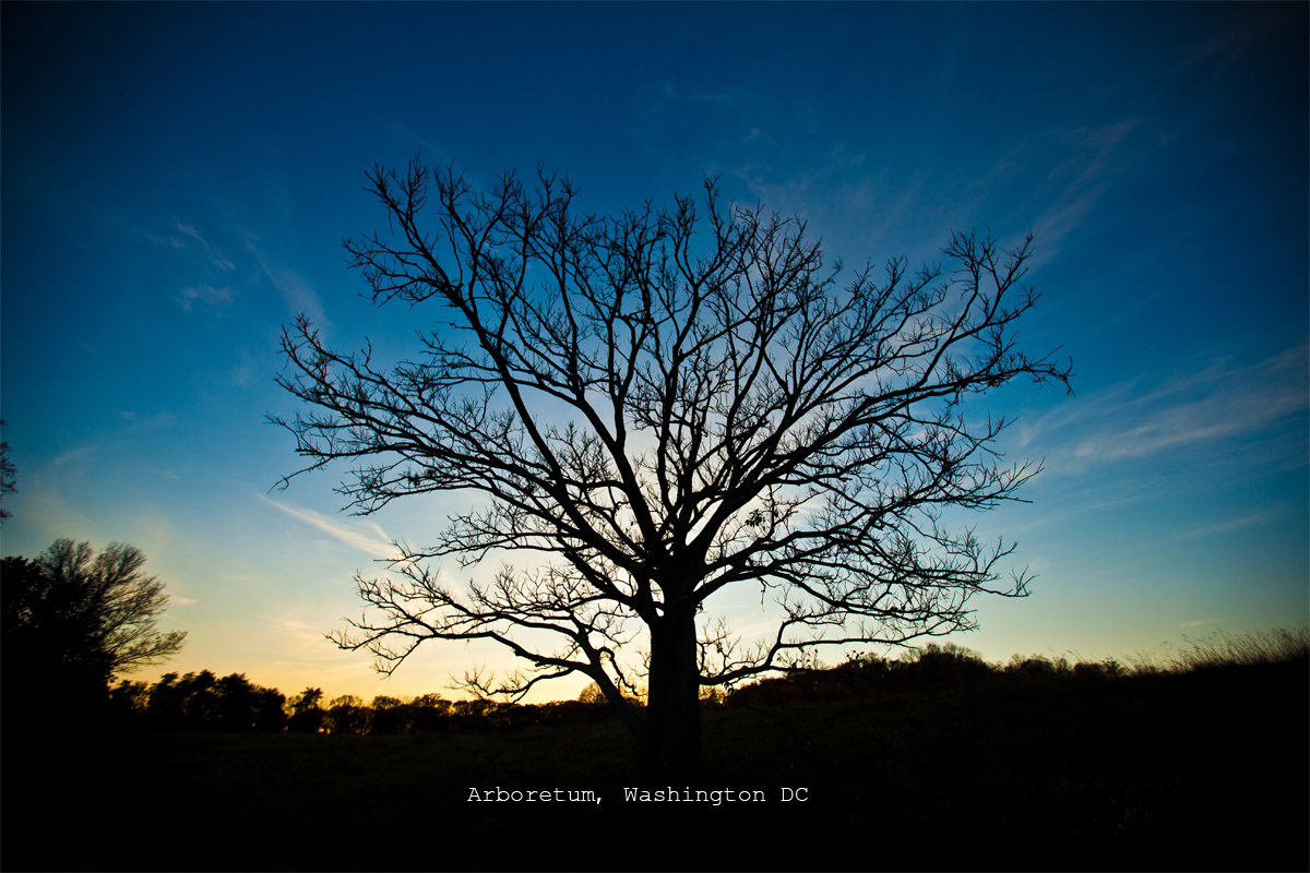 film editing production specialist washington dc