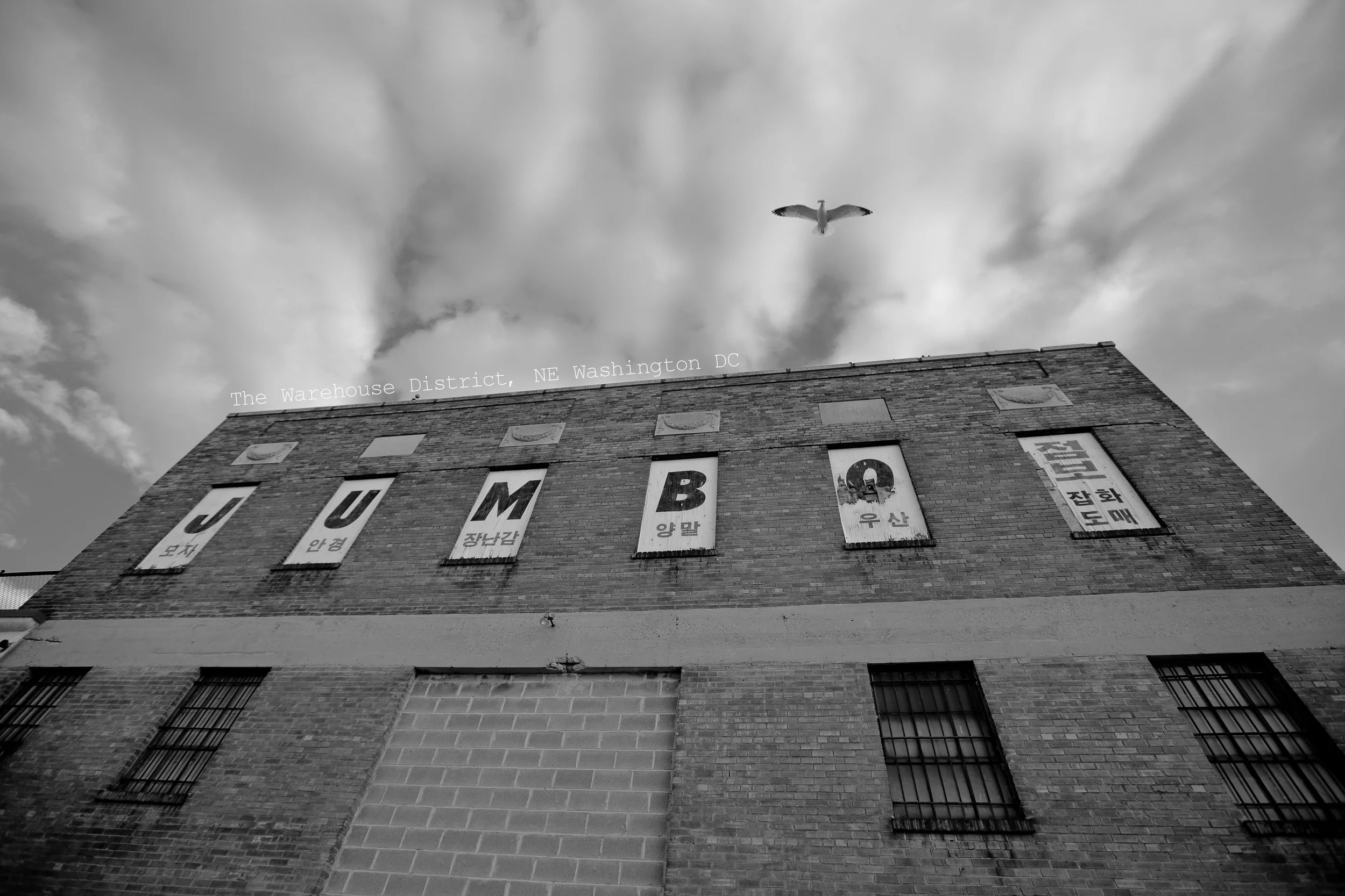 DC2012_DC_Warehouses-8779.jpg