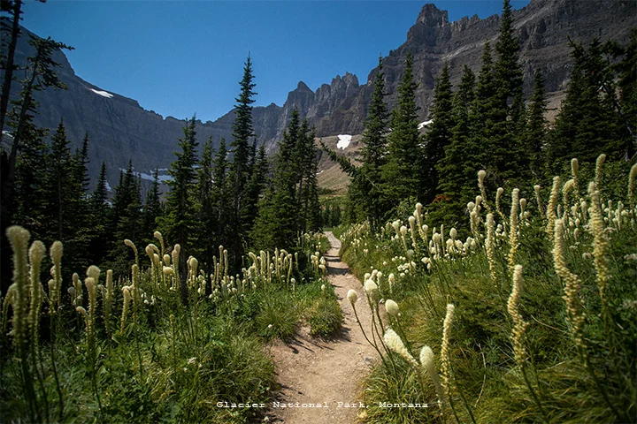 GNP8.jpg