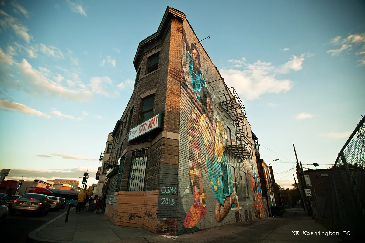 DC2015_NEmural_5d_4016_edited_CARD.jpg