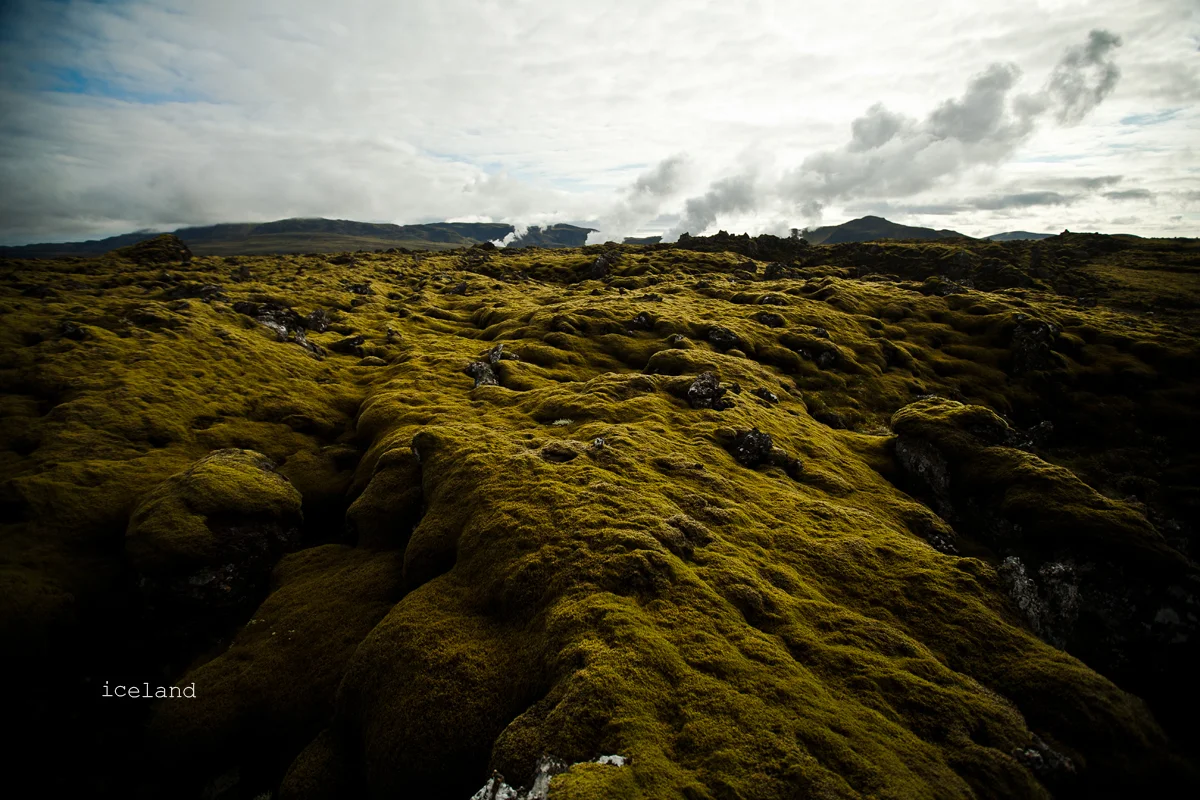 Iceland2014_Misc311_CARD.jpg