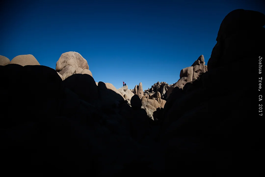 JoshuaTree1268_smallTEXT.jpg