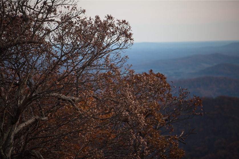 skylinedrive1.png
