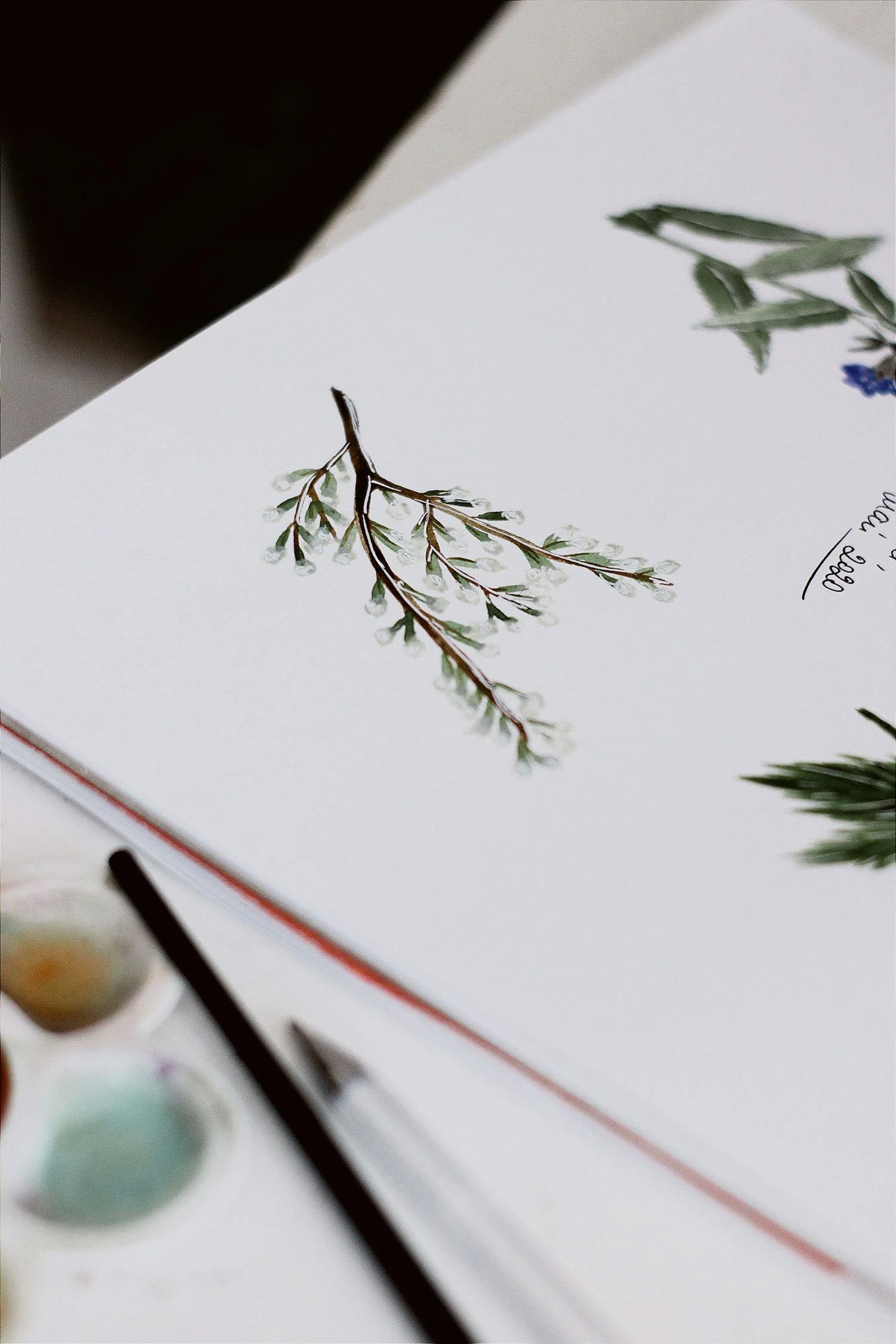 Une feuille de papier avec une illustration d'une branche de plante.