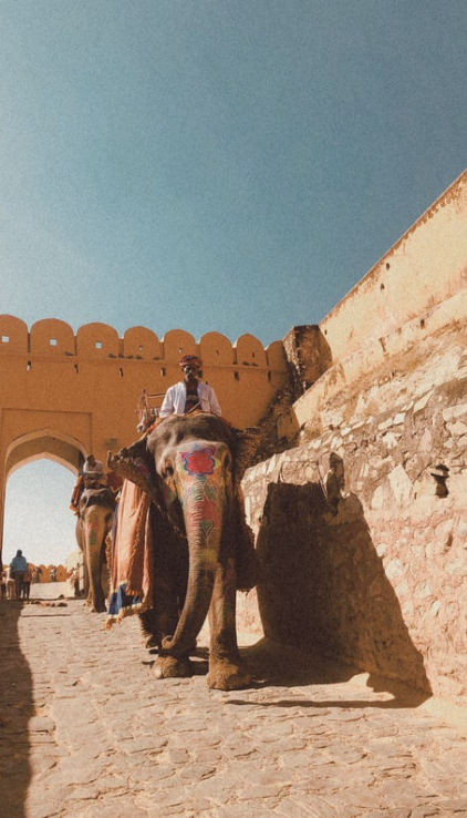 Laurie’s customers, Fernando and Kate embracing by the lake on their wedding day.