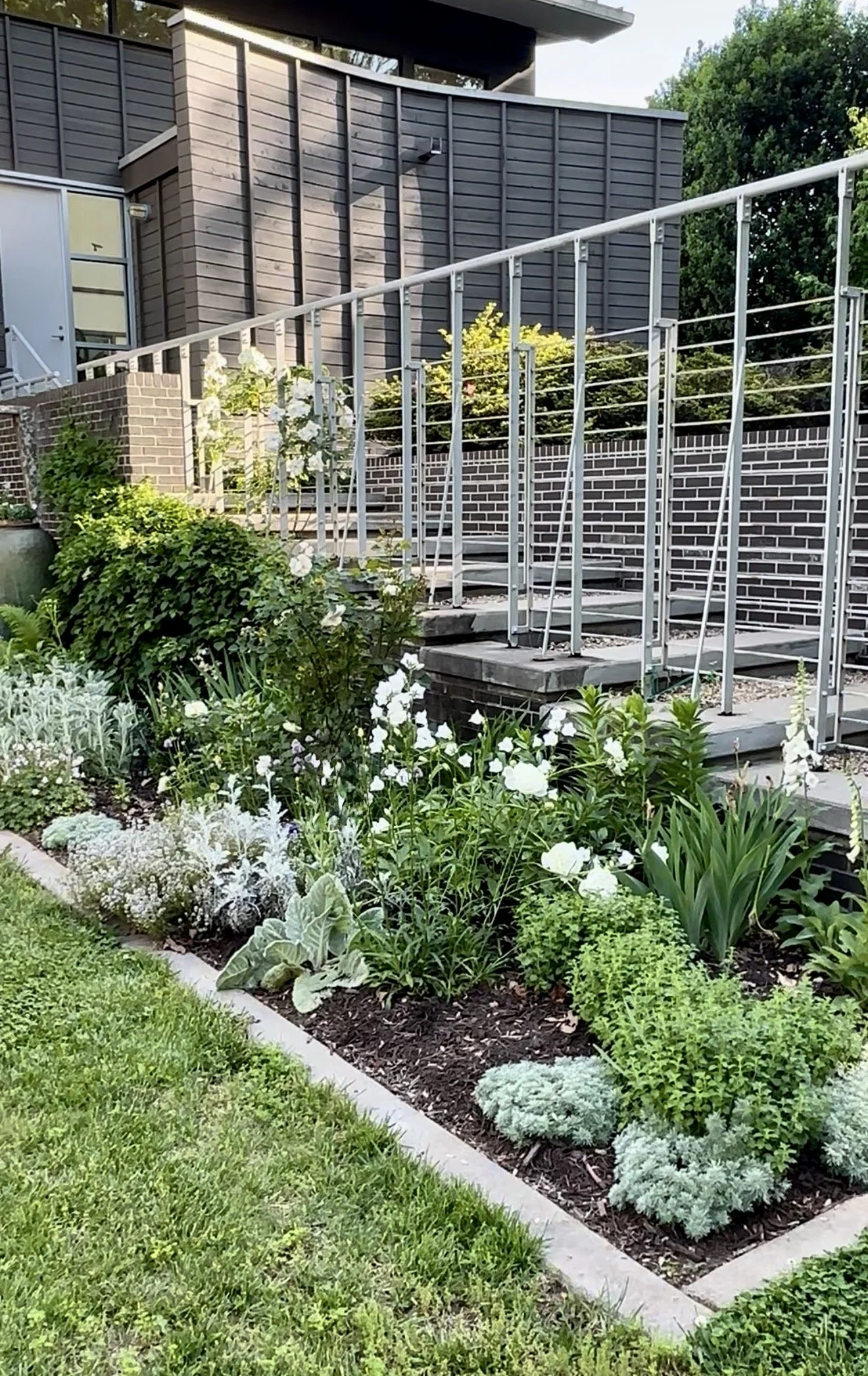 Building a White Garden: Perennials First, Seeds Second