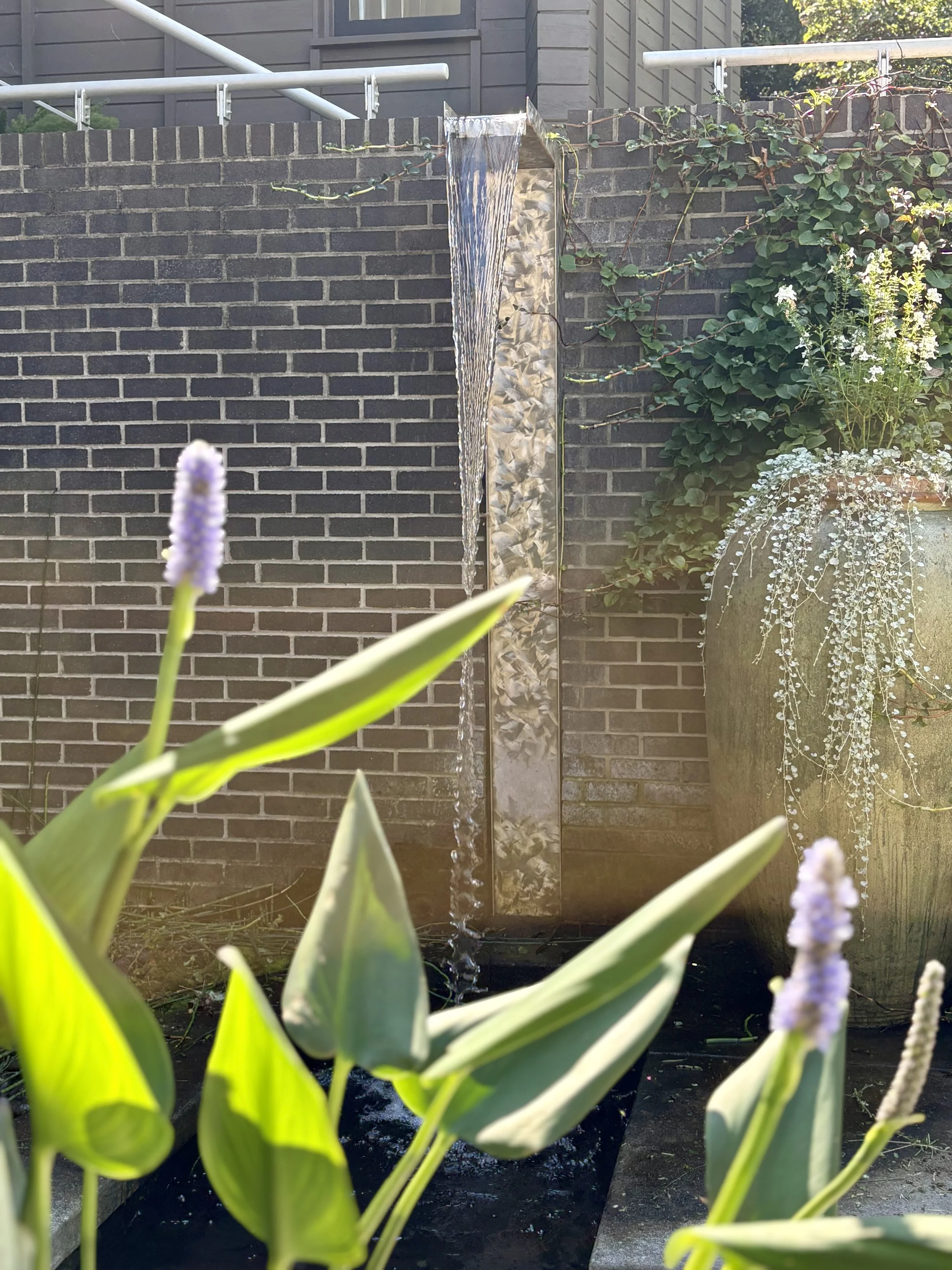 Koi pond waterfall at Hilltop | Proper Useful