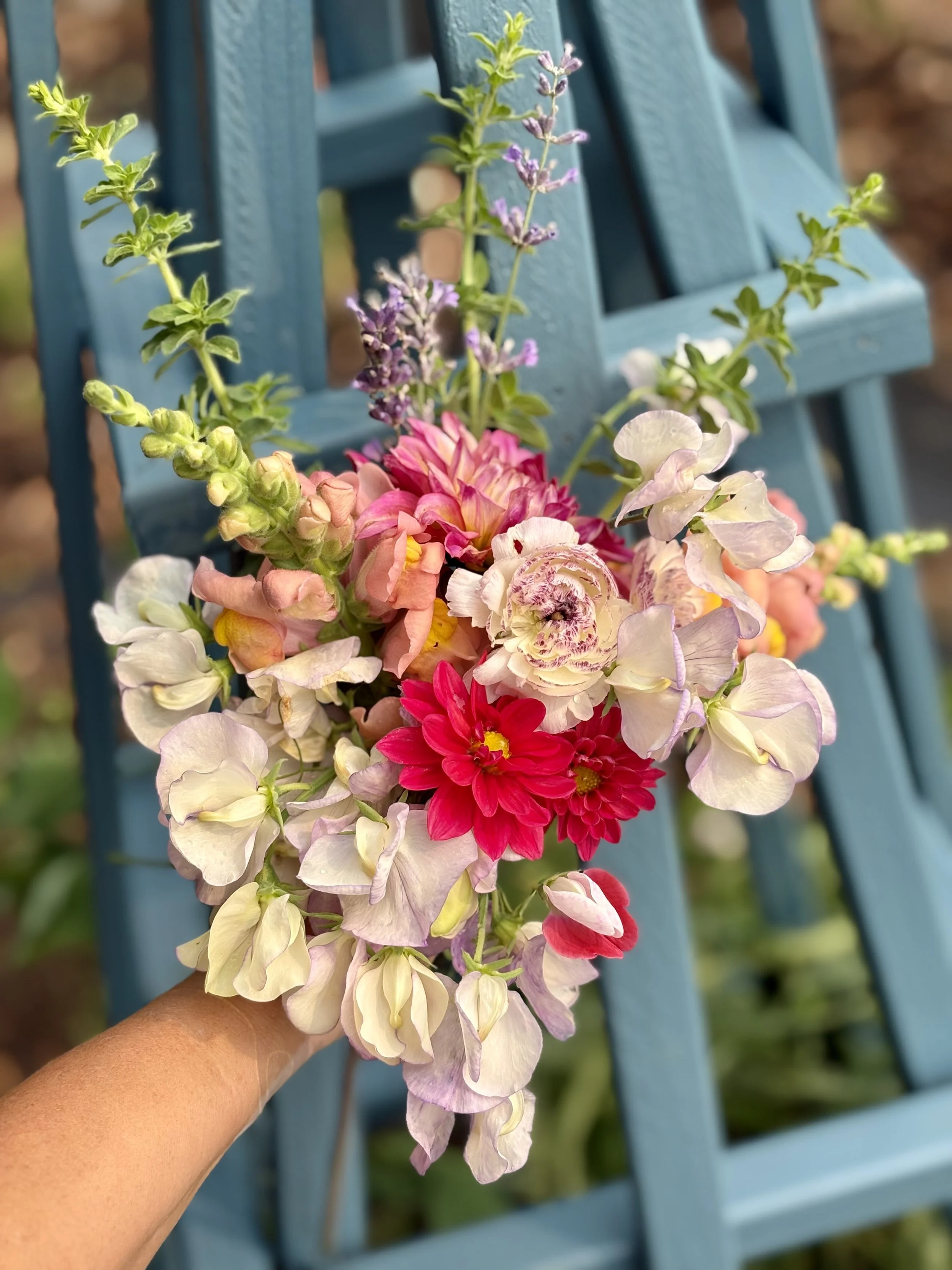 The Annual Seeds I Return to Every Year