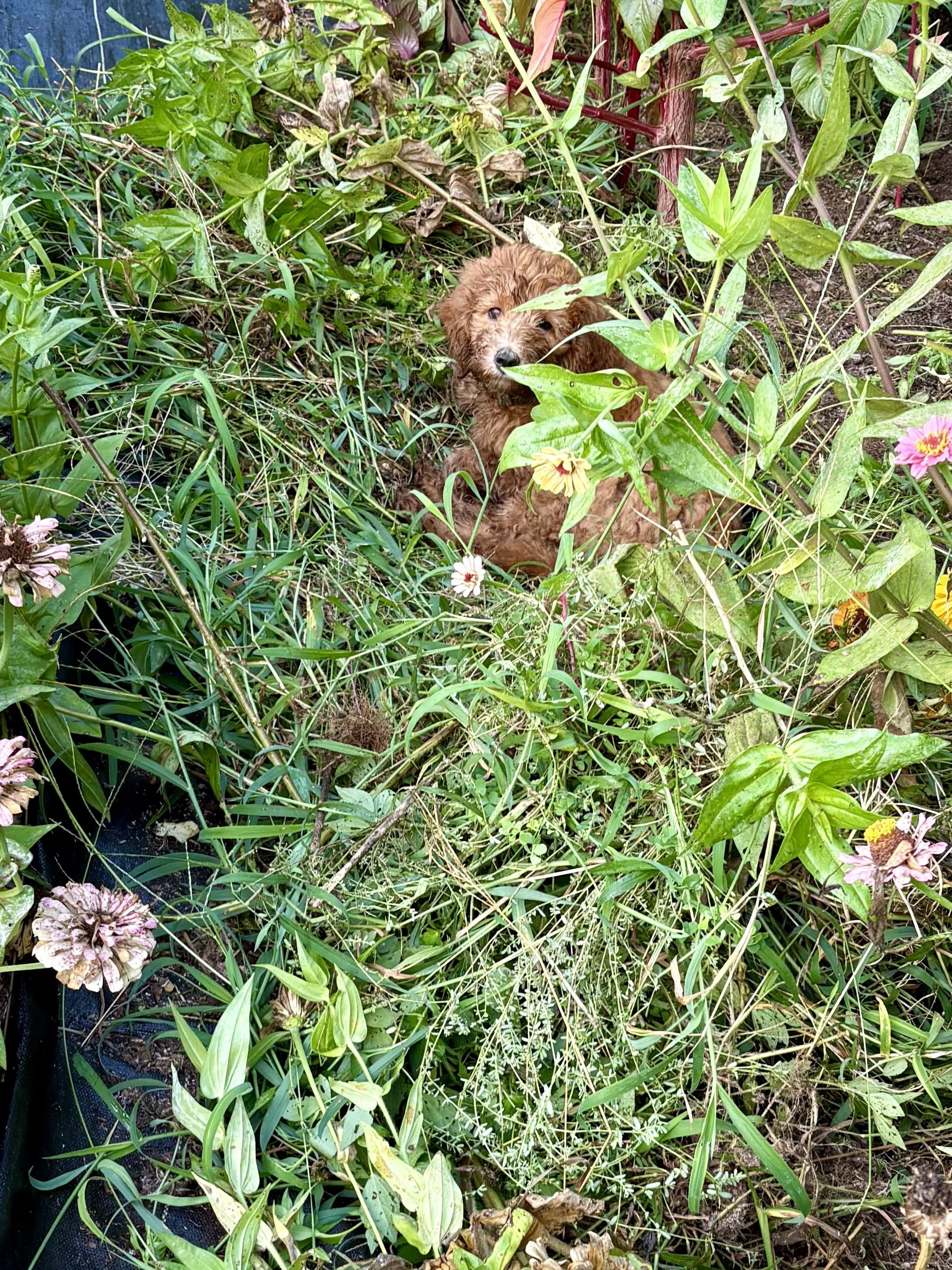 Failure Is the Curriculum