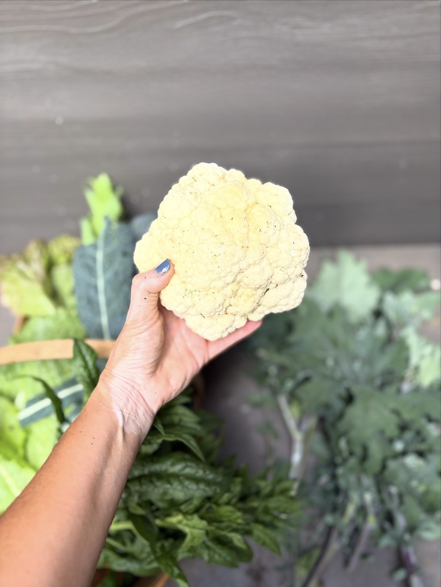 Cauliflower Rober.jpg
