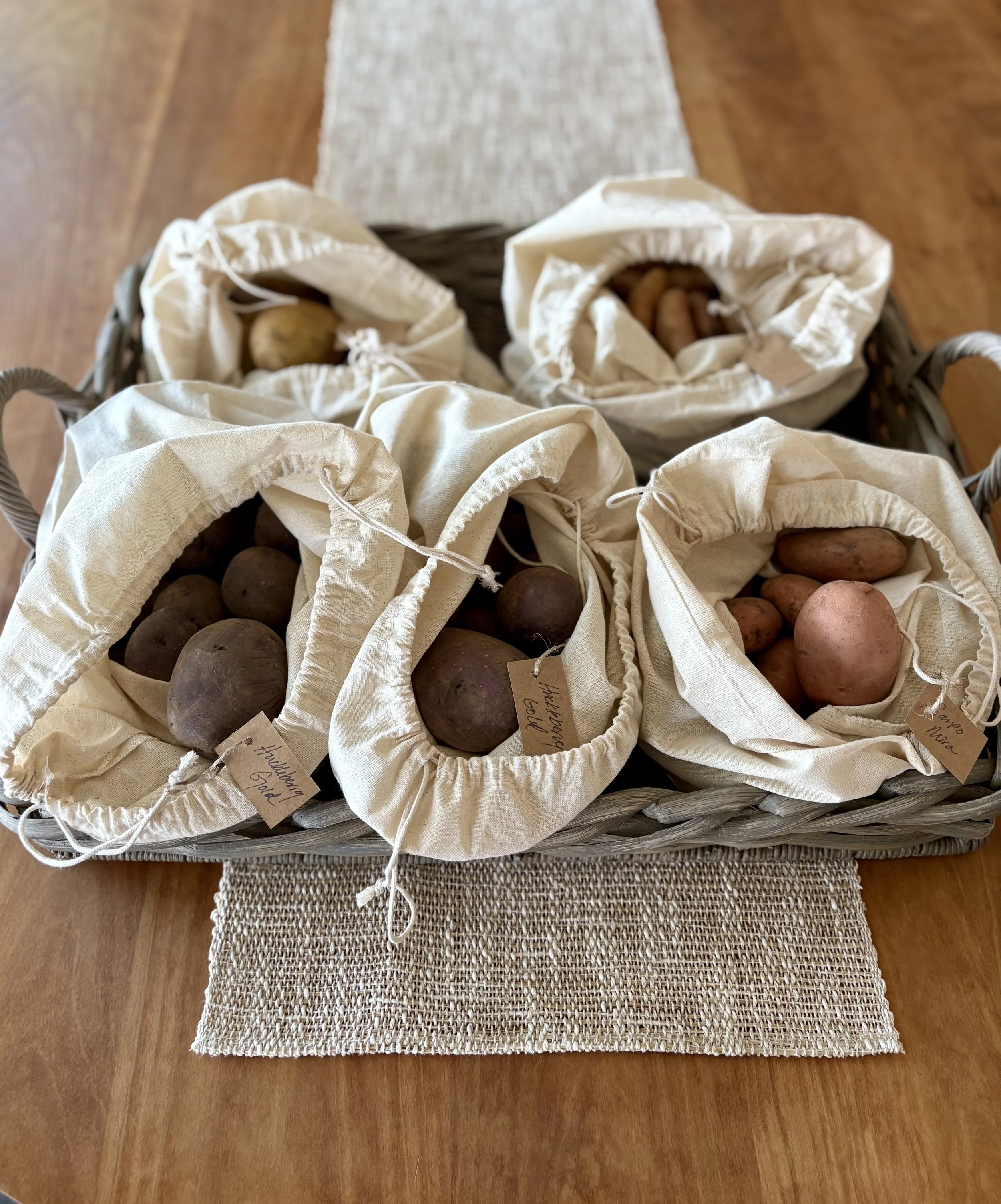 Potato harvest 2025.jpg