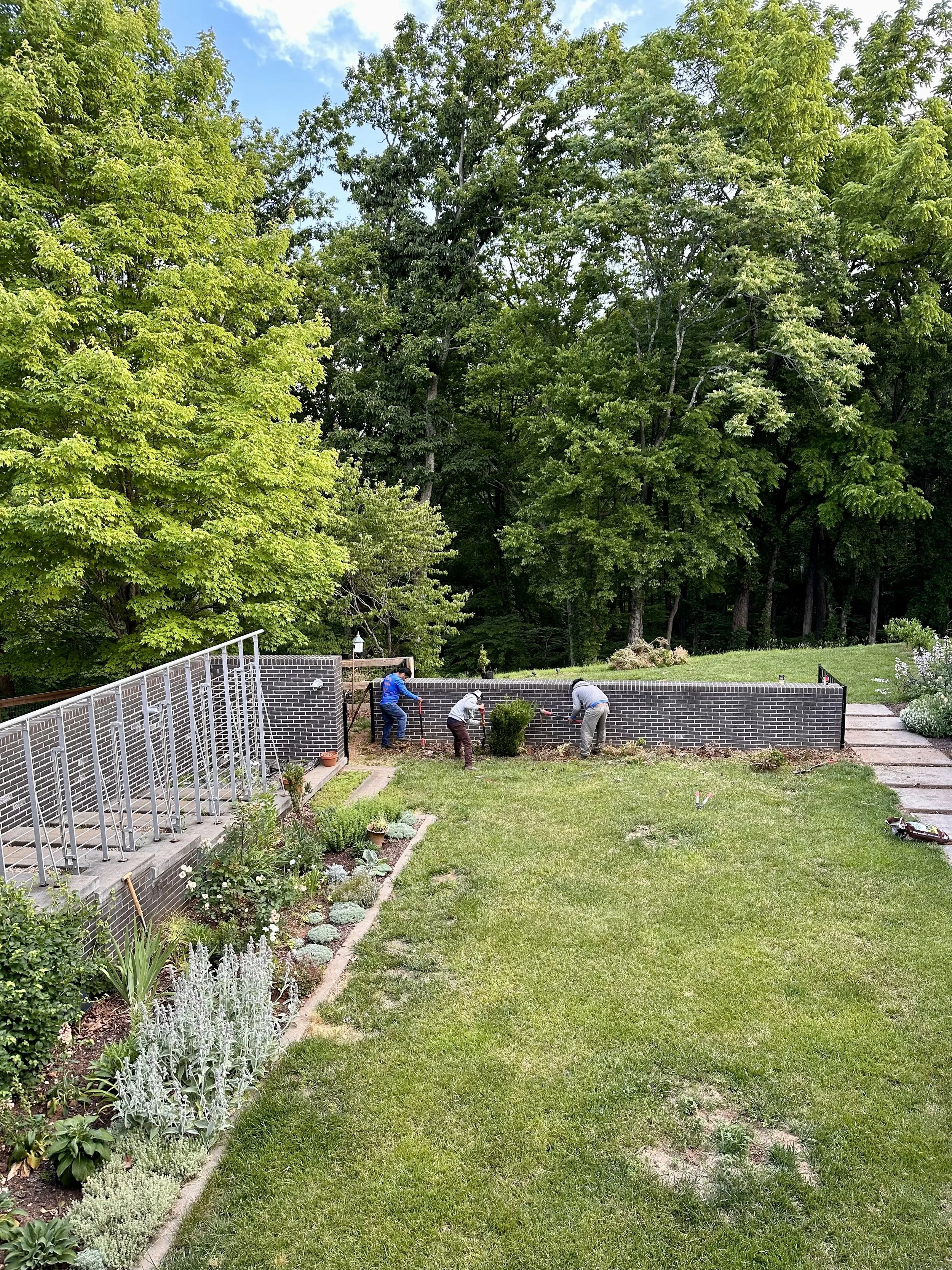 Hilltop Garden 5.jpg
