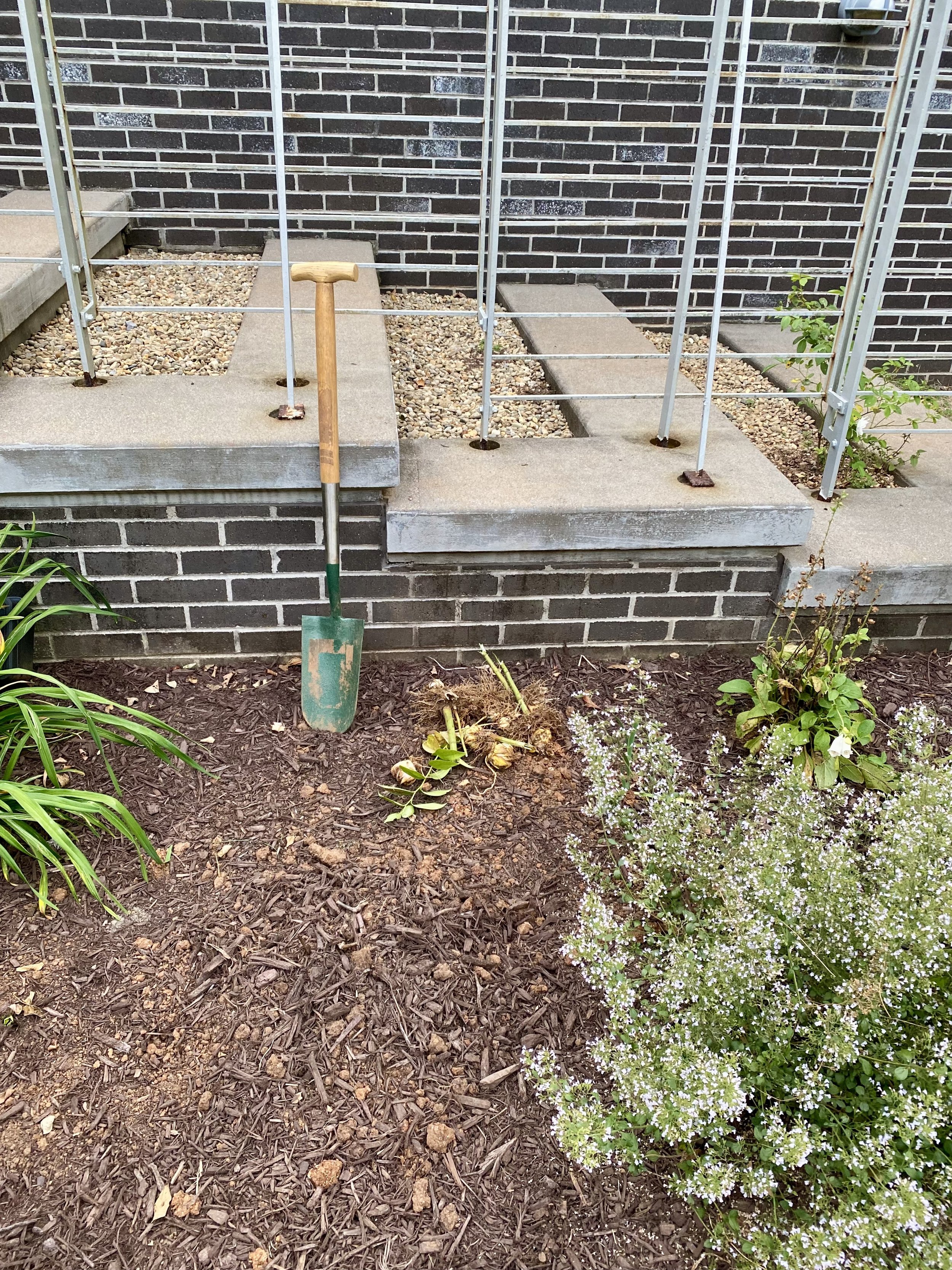 Hilltop Courtyard main bed.jpg