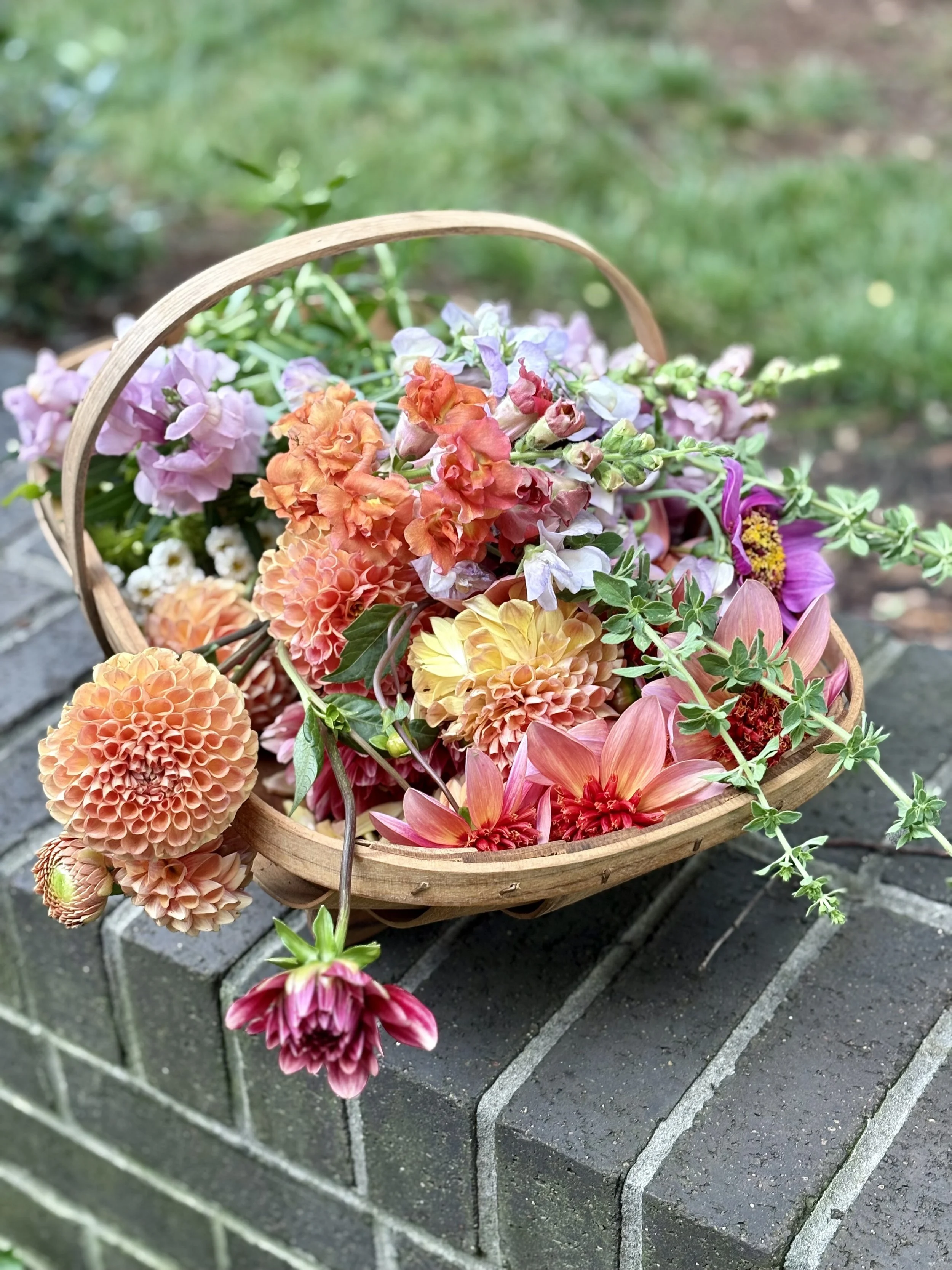 A basket filled with colorful fresh flowers resting on a brick surface outdoors with a grassy background.