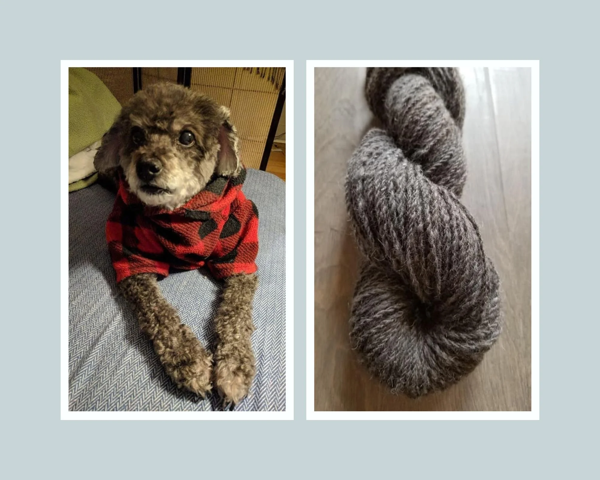 Poodle Hair Yarn.jpg