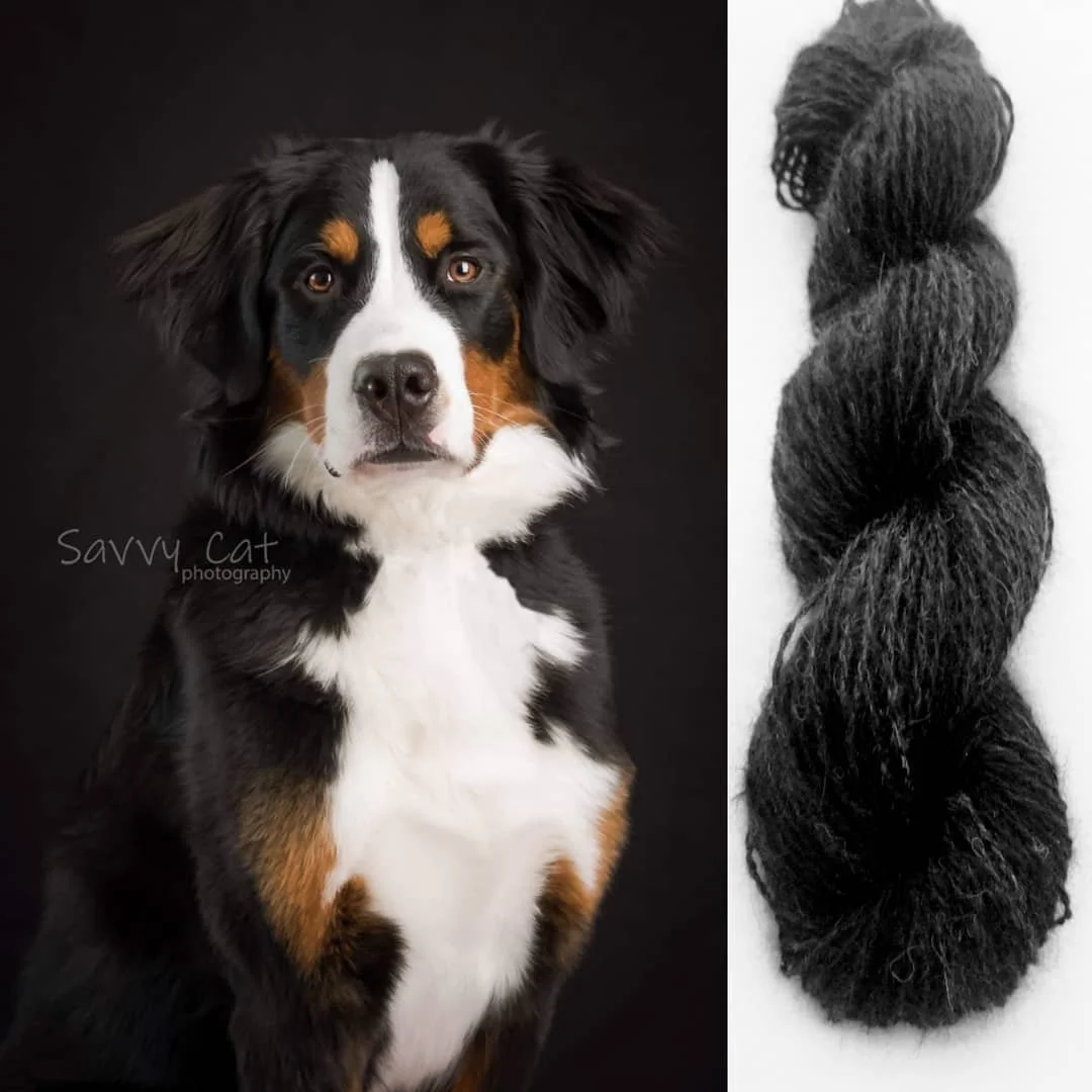 Dog and Yarn.jpg