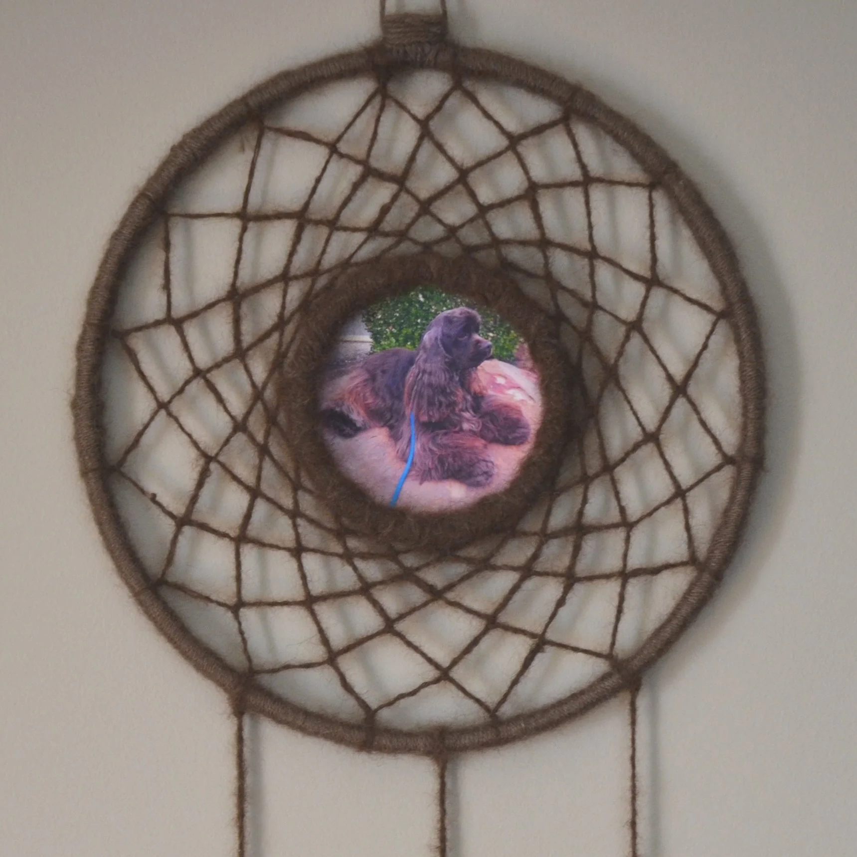 DSC_2084.png