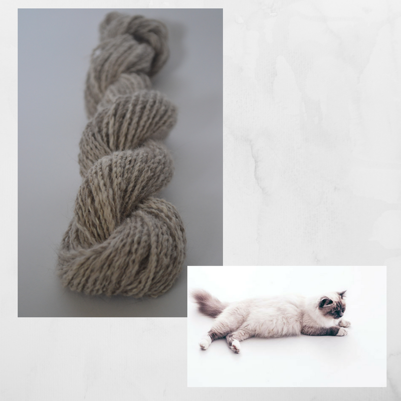 ReggieandYarn.png
