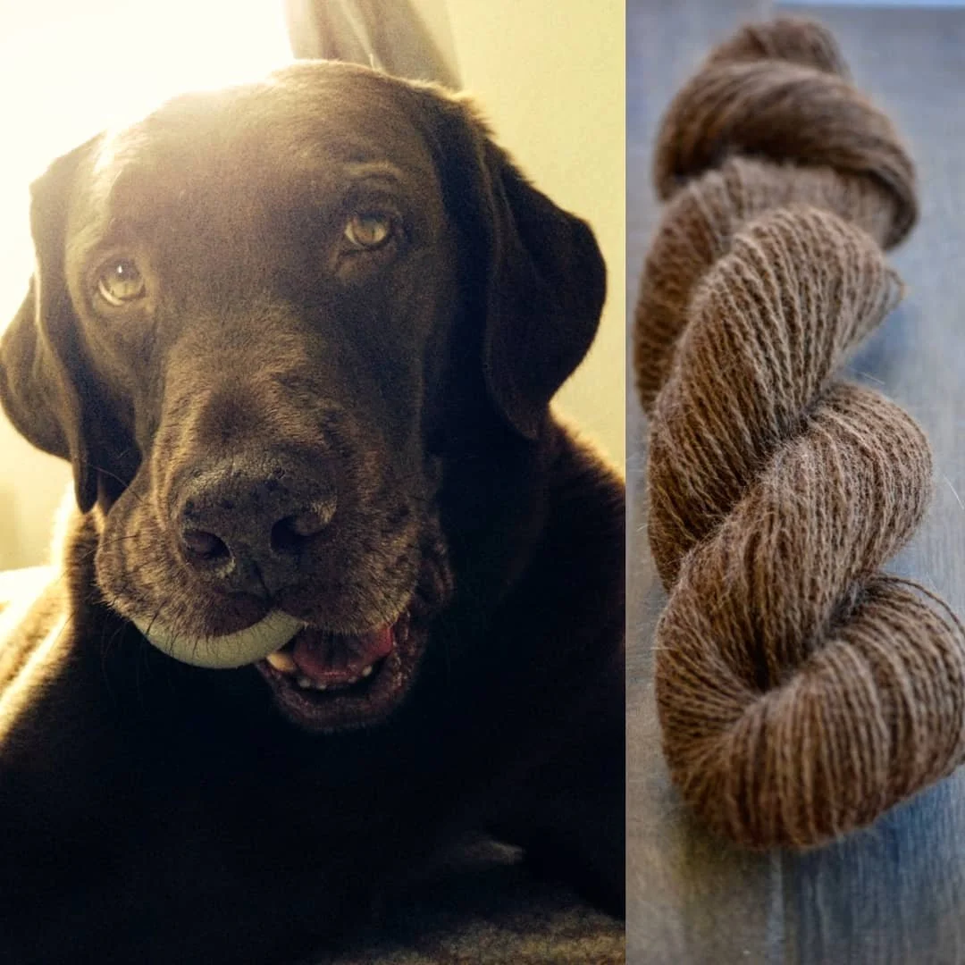 Lab Yarn.jpg