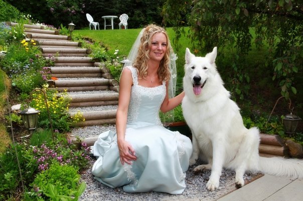 A bride in a white wedding dress with a veil sitting on step stones in a garden, smiling beside a large white dog, in front of greenery and flowers.