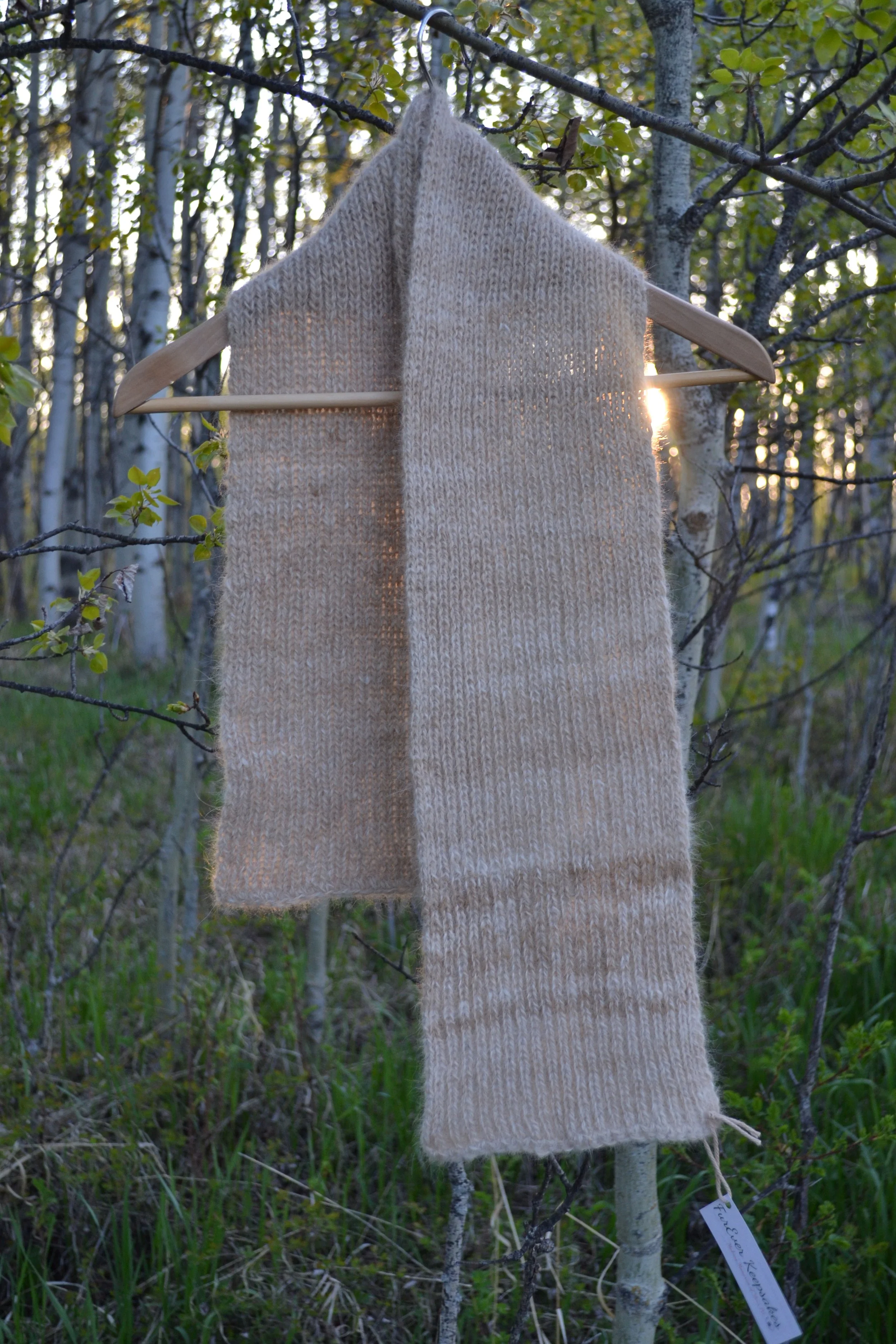 DSC_1087.JPG