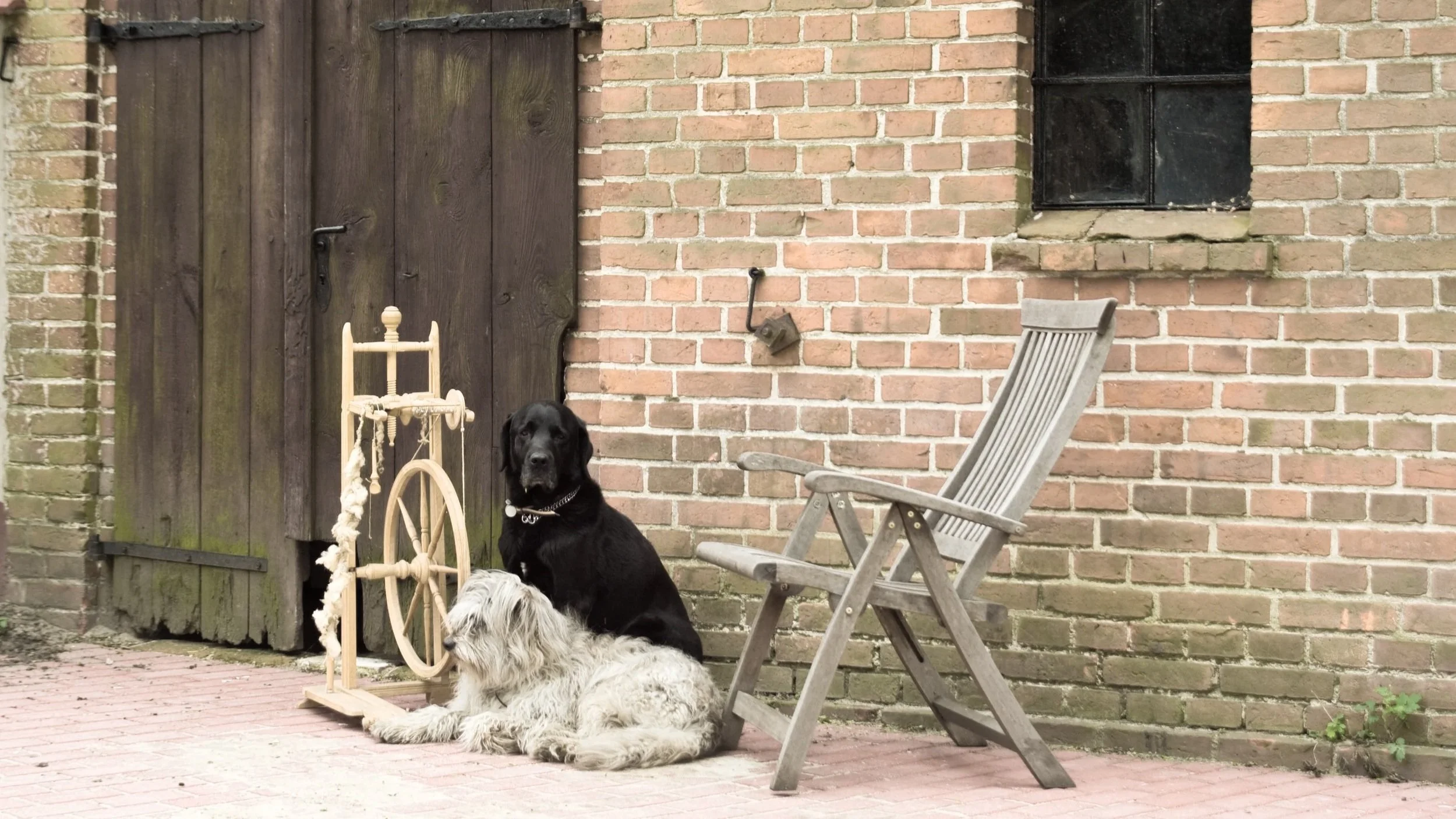 Two dogs resting near a brick wall and a wooden door in an outdoor setting, with a wooden chair and a small spinning wheel decoration.