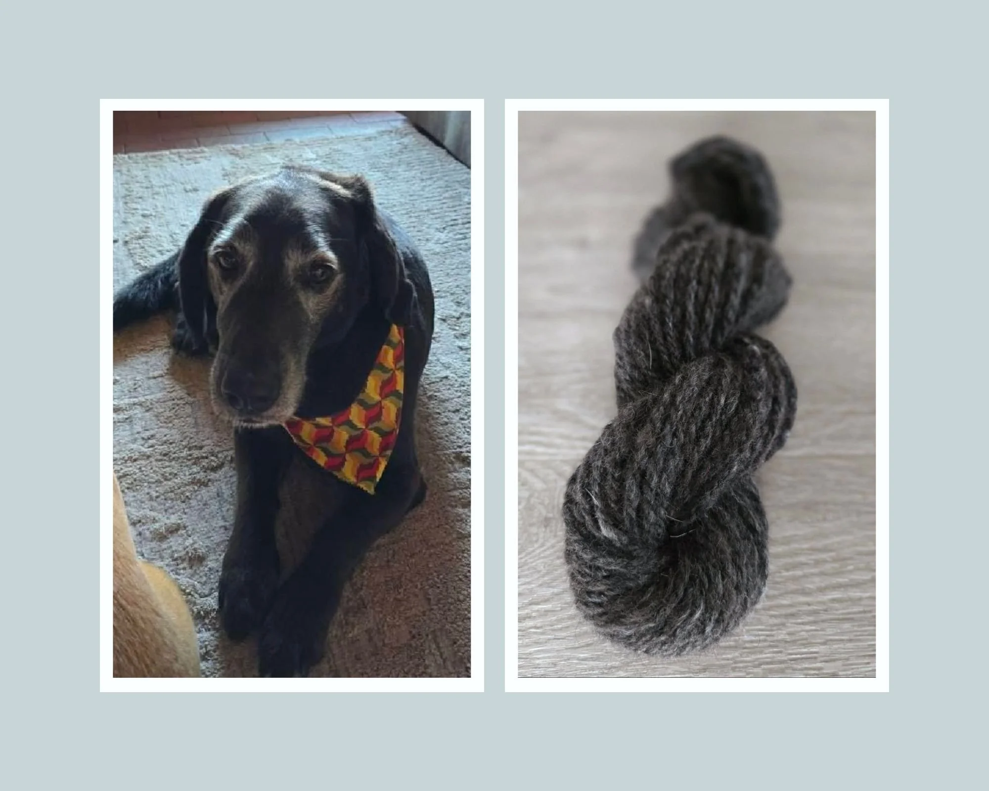 Lab Hair Yarn.jpg