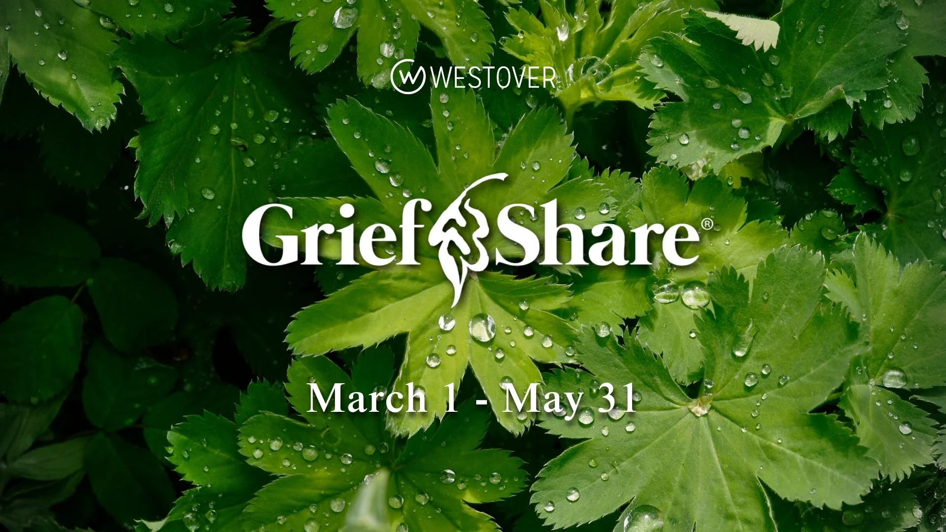 GriefShare Support Group