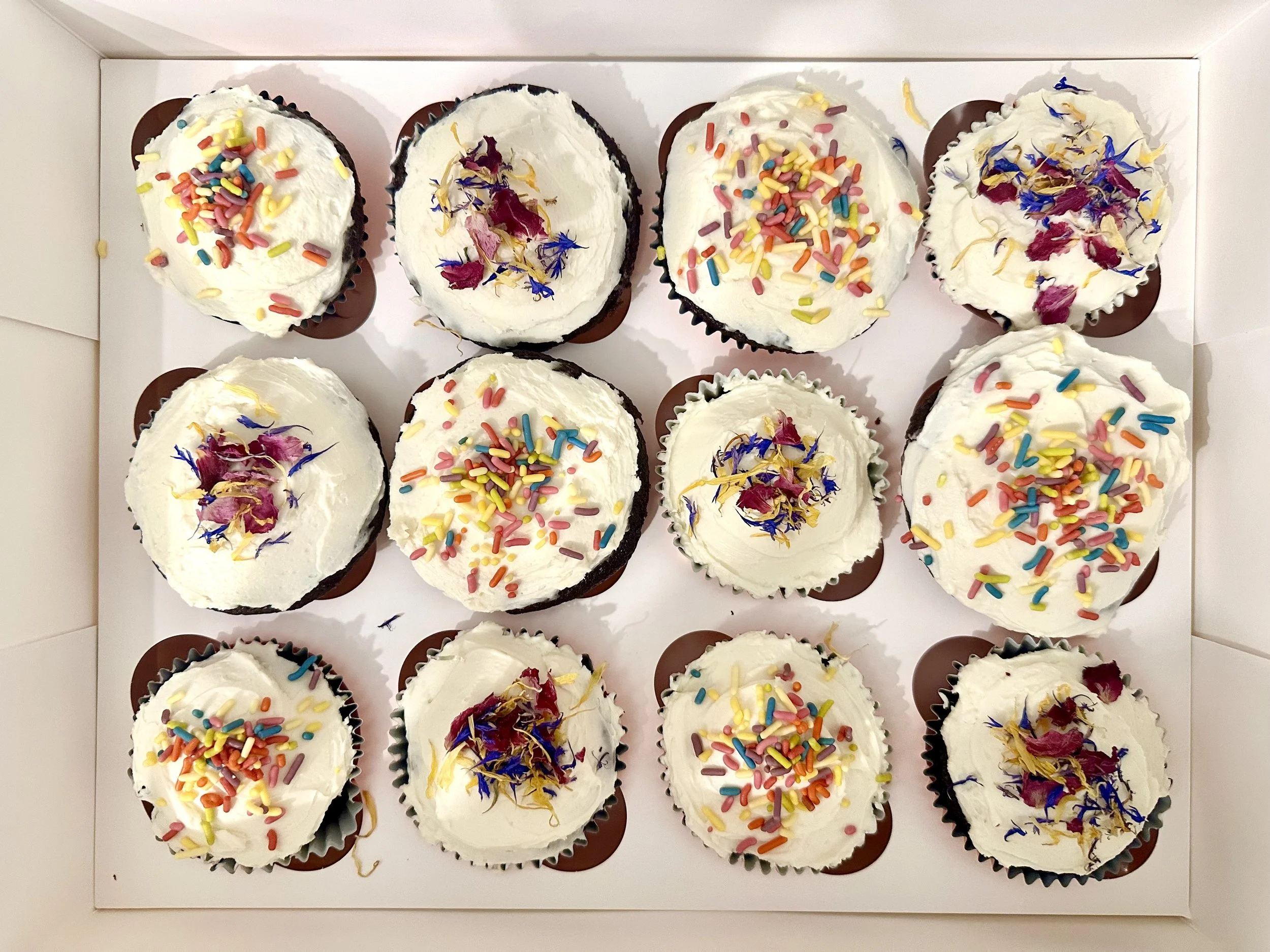 Chocolate Cupcakes (24 / 2 Dozen Cupcakes)