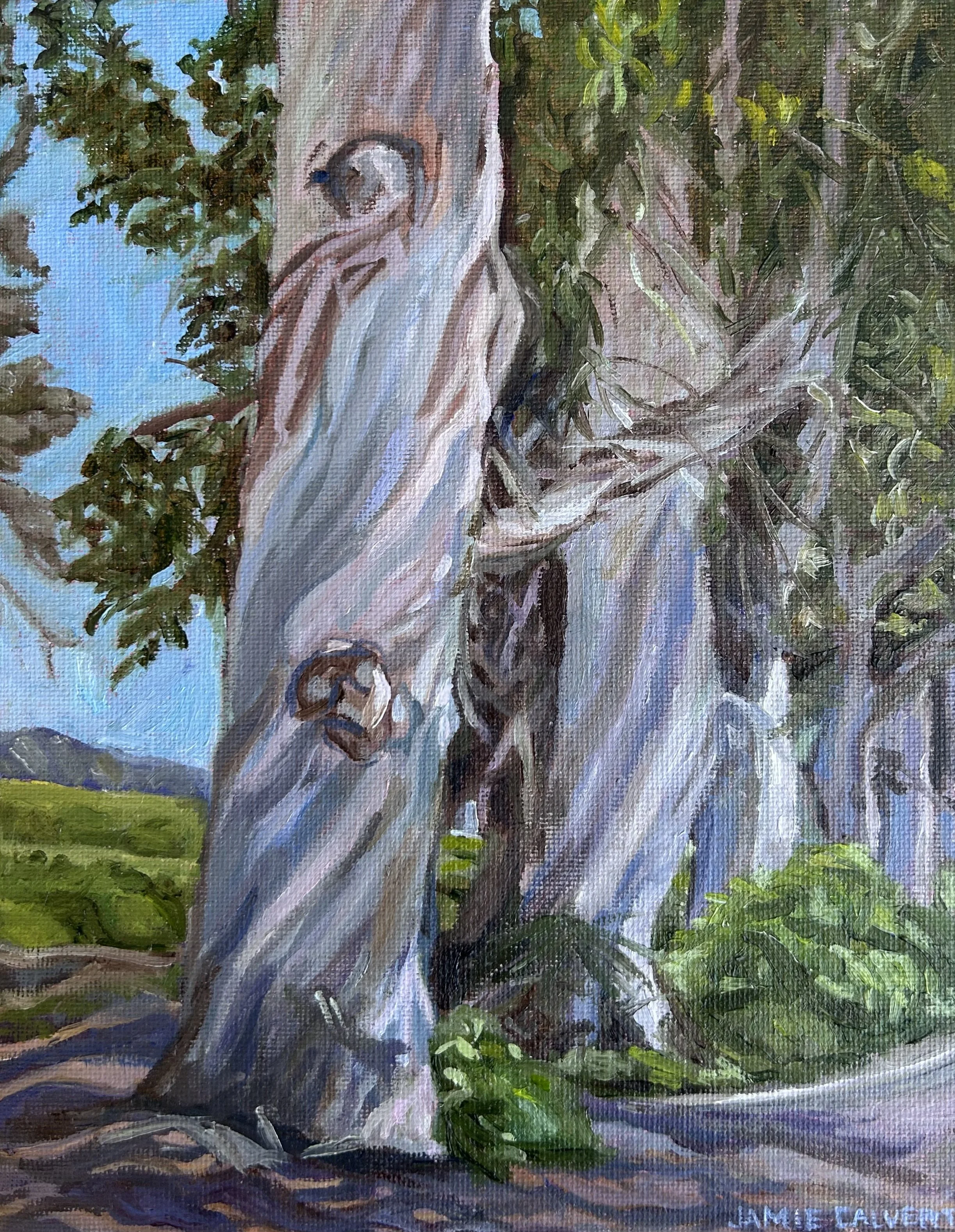 "Eucalyptus", 8" x 10', oil on linen panel.  Carpenteria, CA.  Available $400
