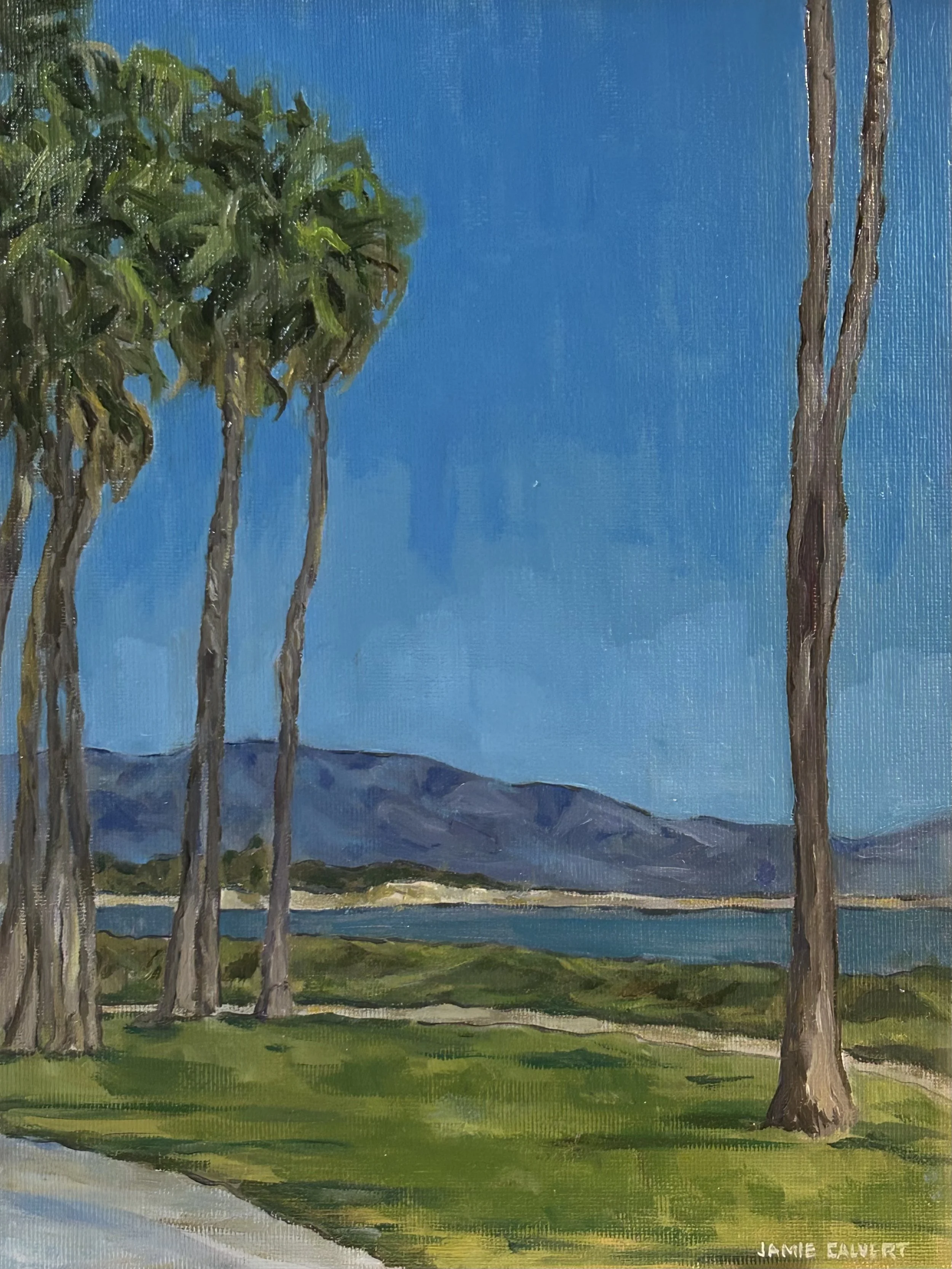 "Cabrillo Strand", 11" x 14", oil on linen panel.  Santa Barbara, CA.  Available $300
