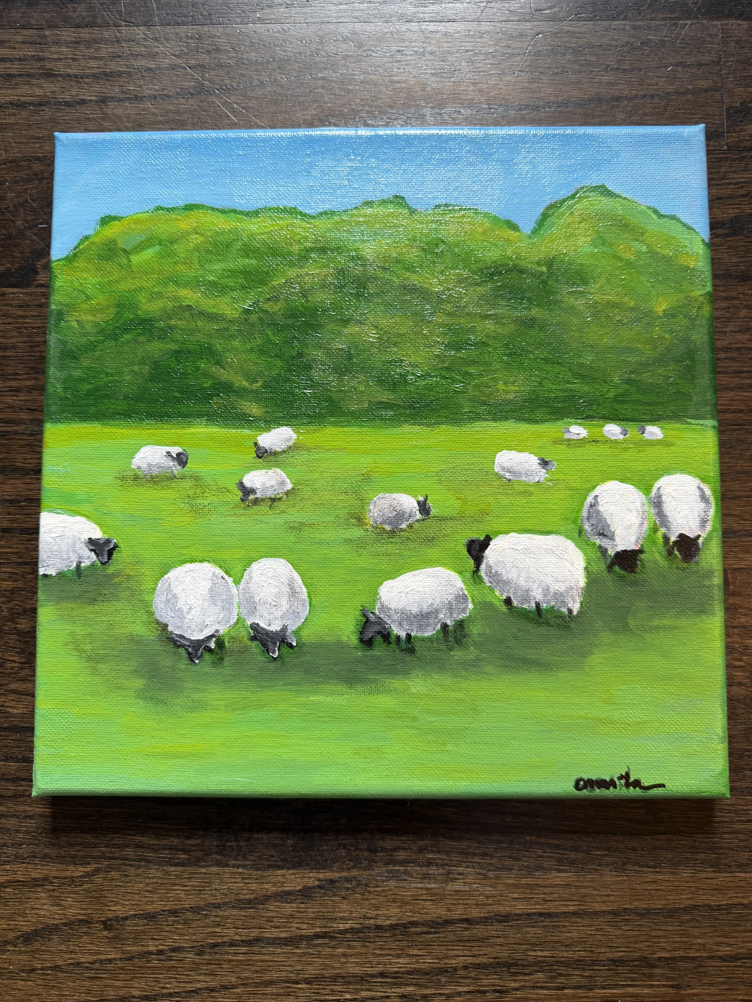 Irish sheep
