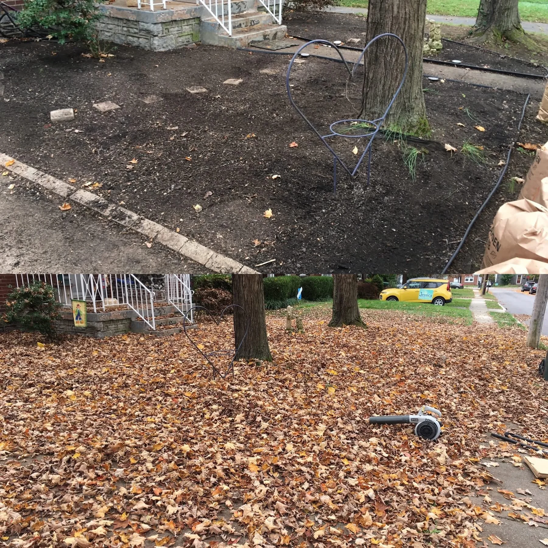 Comparison of a small yard before and after leaf raking and cleanup, showing a lonely metal heart-shaped chair in the middle of the yard with trees and a sidewalk in the background.
