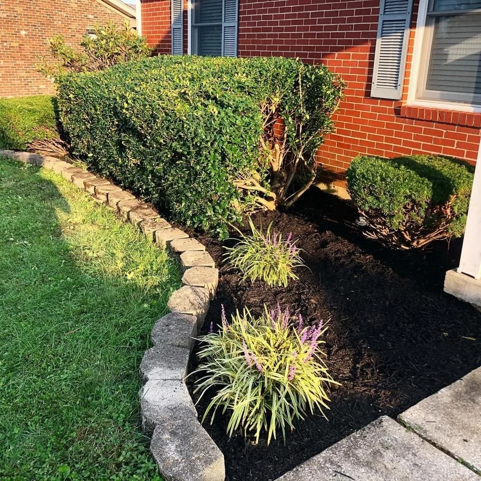 Well-maintained front yard with trimmed shrubs and decorative plants next to a brick house.