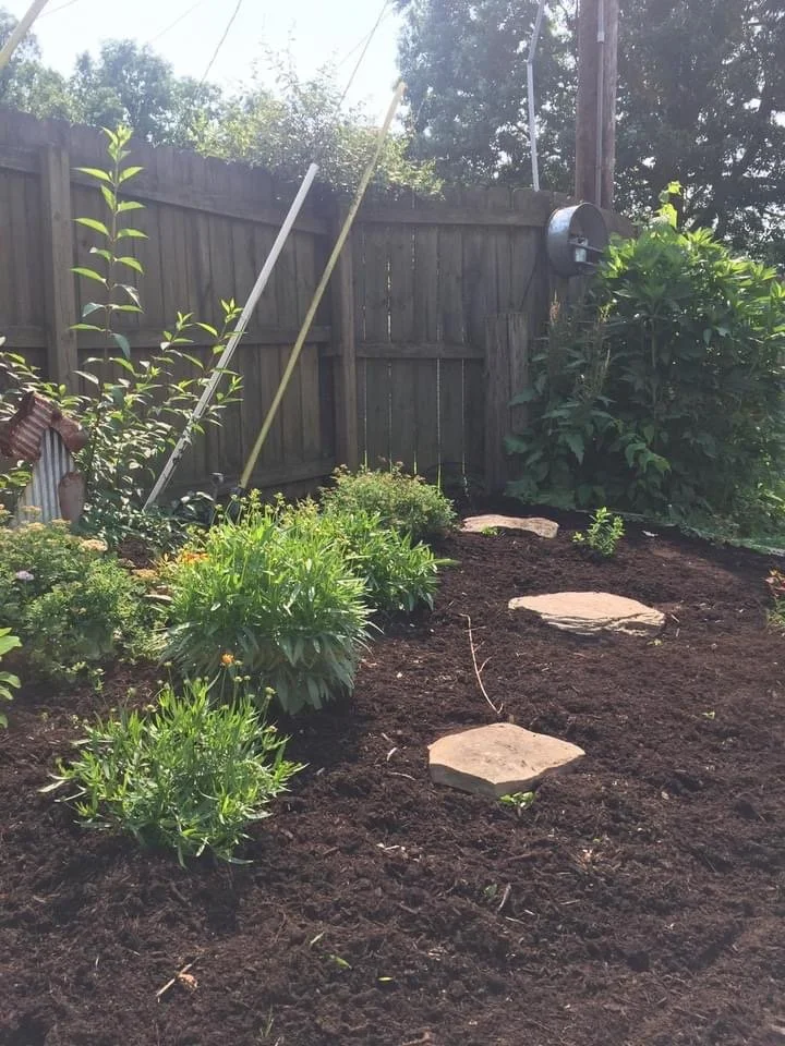 A backyard garden with new plants and a stone pathway. A wooden fence surrounds the garden, with a windmill and some trees in the background. There is also a large shrub or small tree on the right side.