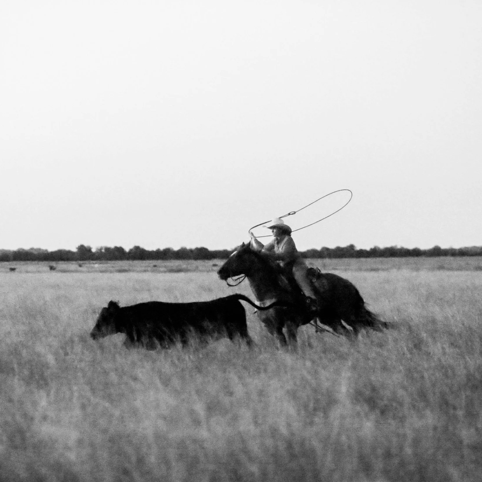 Western Lifestyle